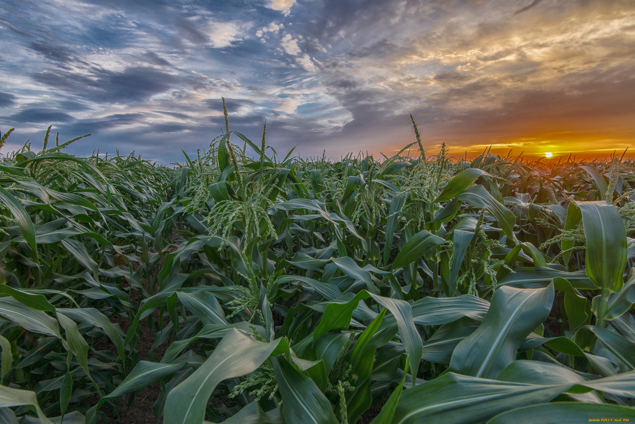 природа, восходы, закаты, рассвет