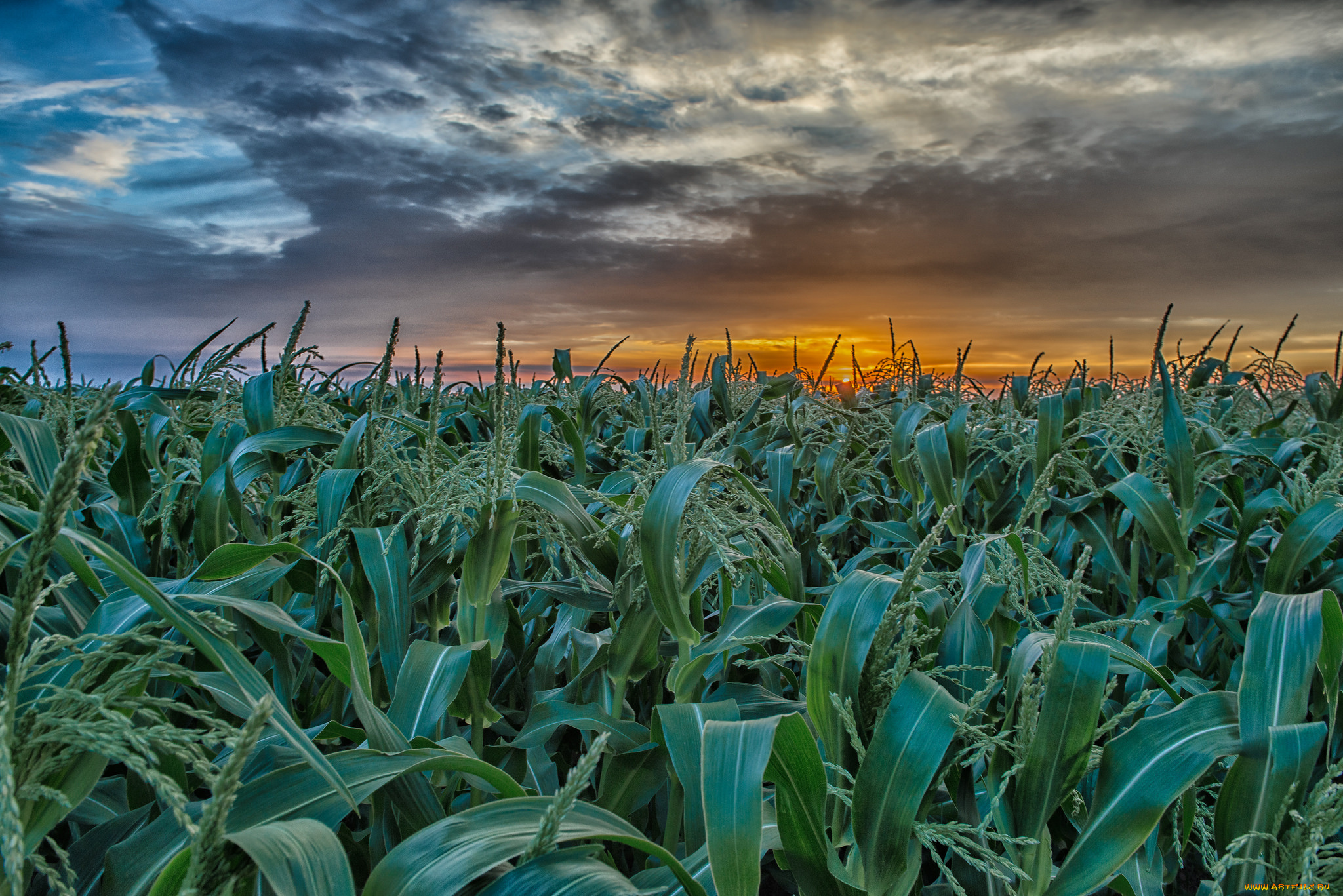 природа, восходы, закаты, рассвет