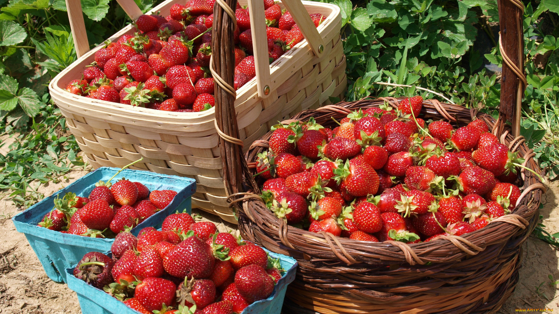 еда, клубника, , земляника, ягоды