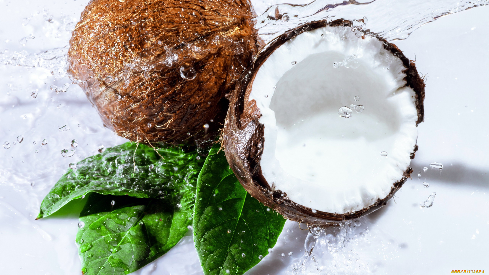 еда, кокос, орех, листья, вода