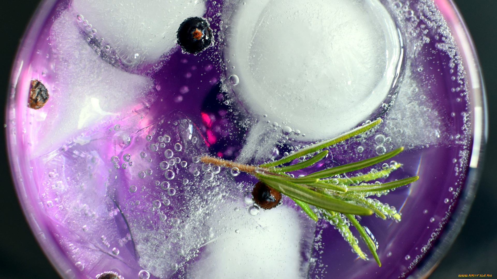 еда, напитки, смородина, розмарин, лед