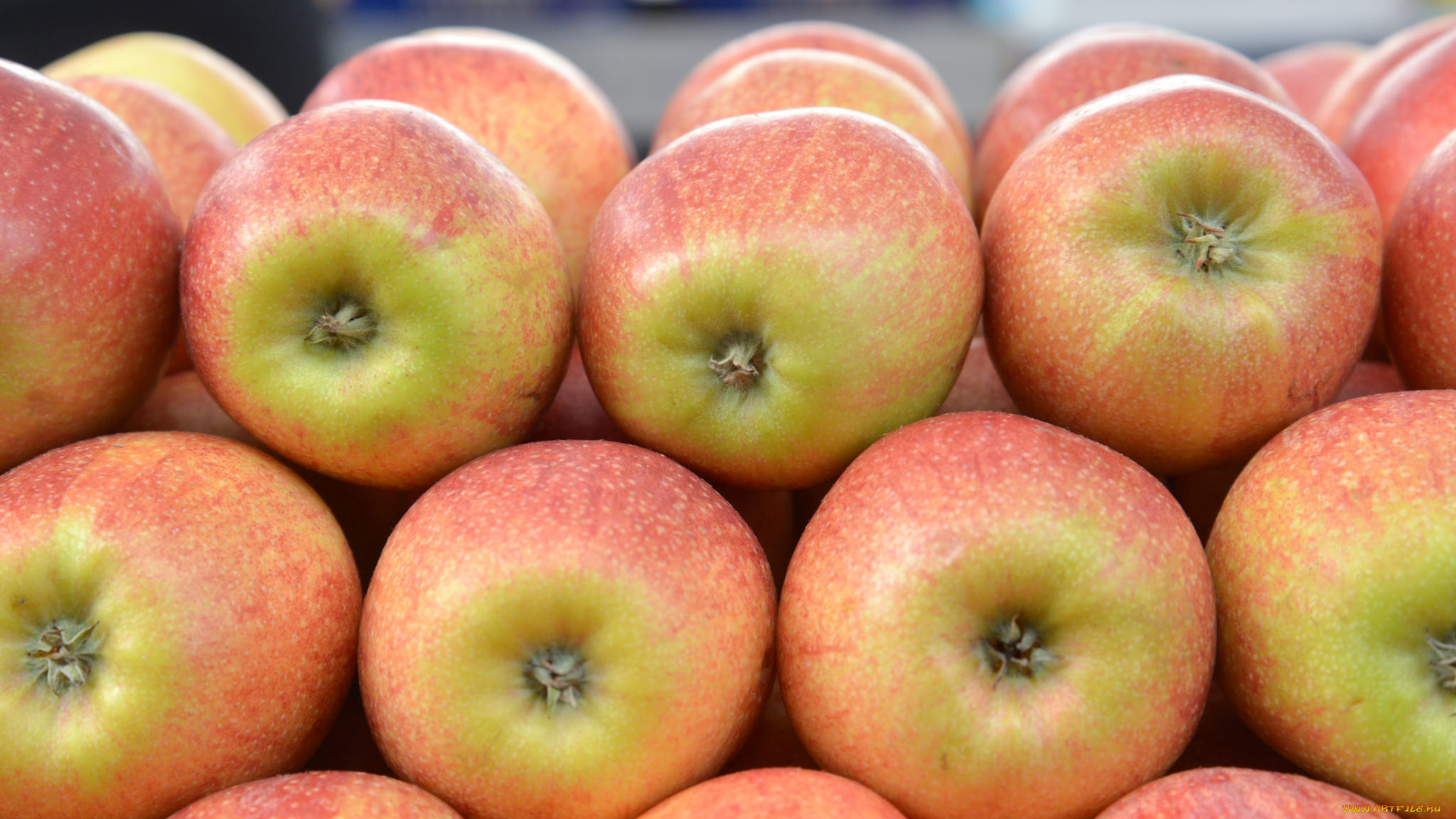 еда, Яблоки, яблочки