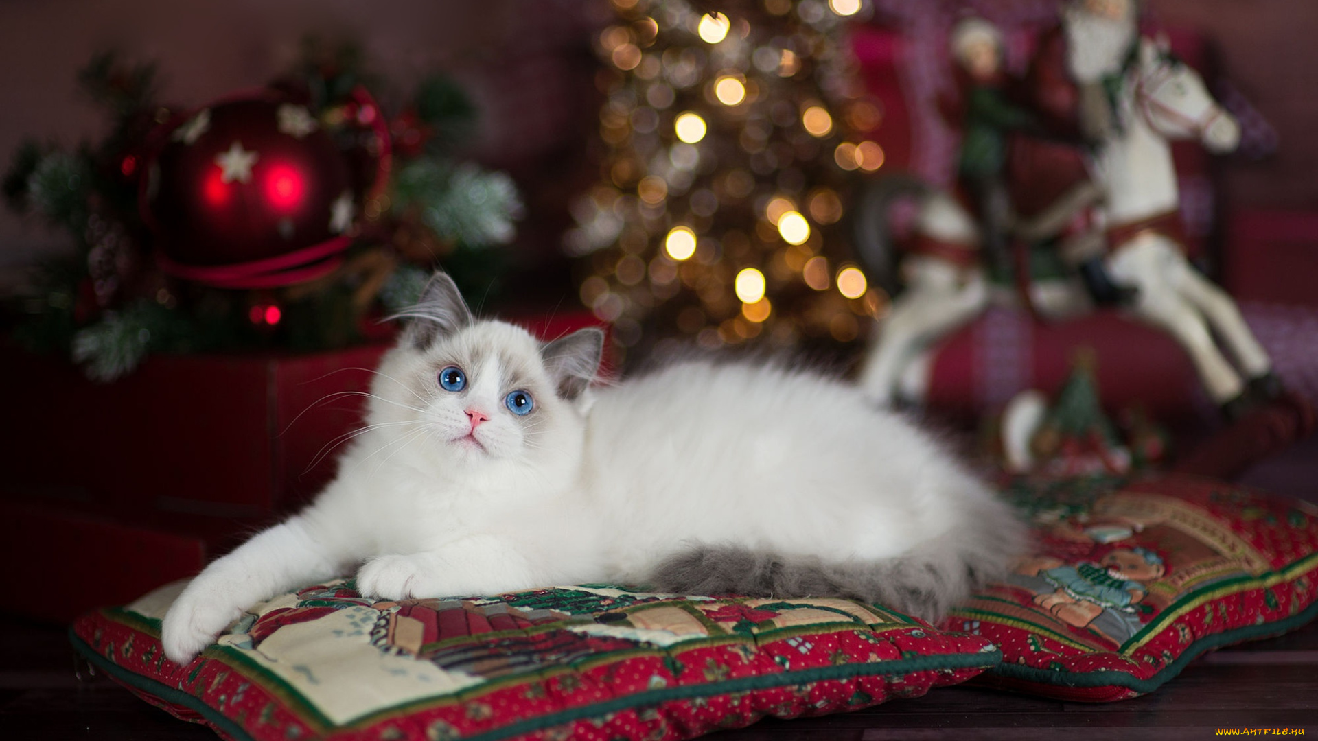 животные, коты, лежит, рождество, голубоглазый, лапуля, санта, клаус, пушистый, боке, комната, игрушки, огни, ёлка, котенок, милашка, подушки, новый, год, кошка