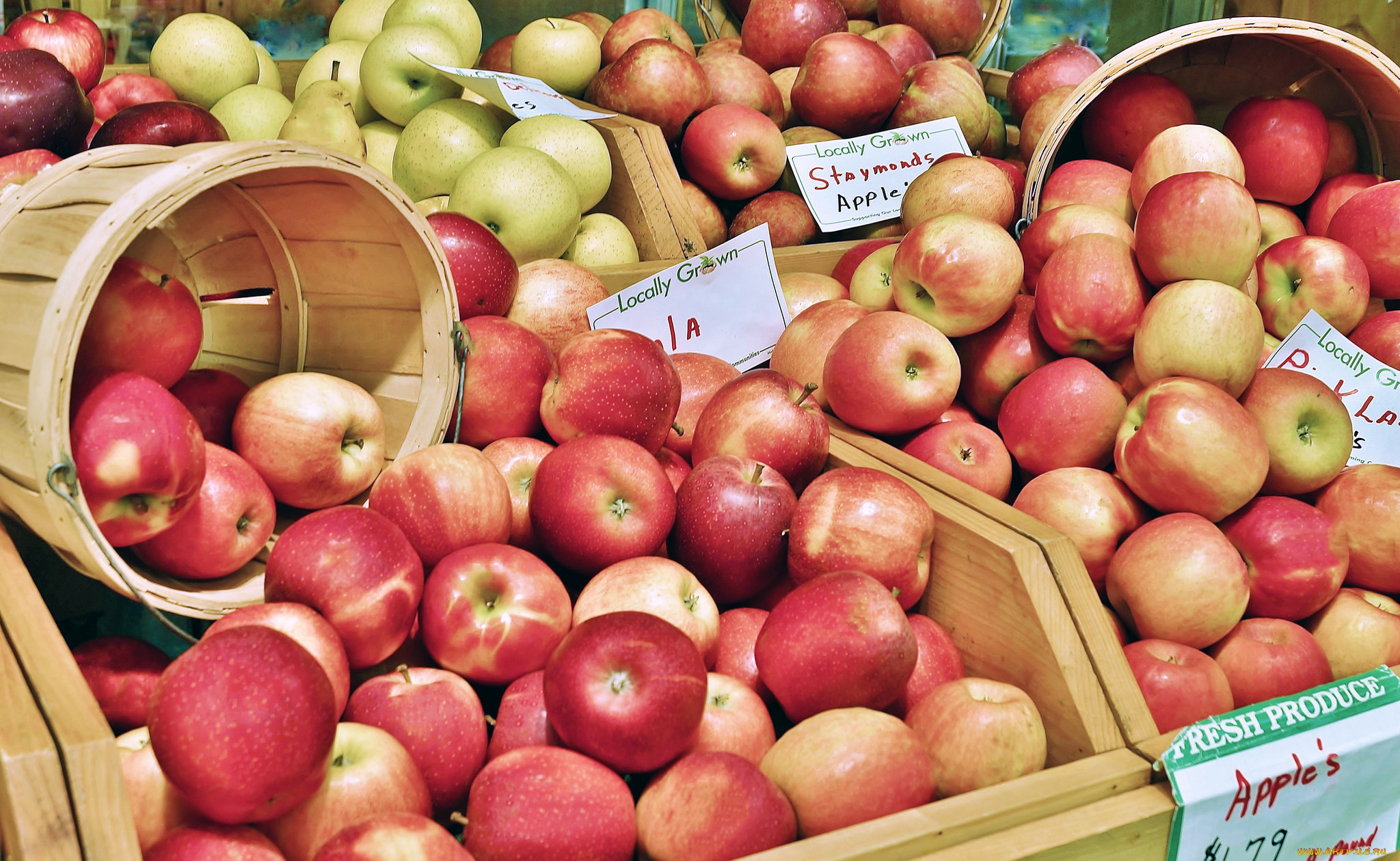 еда, Яблоки, яблочки