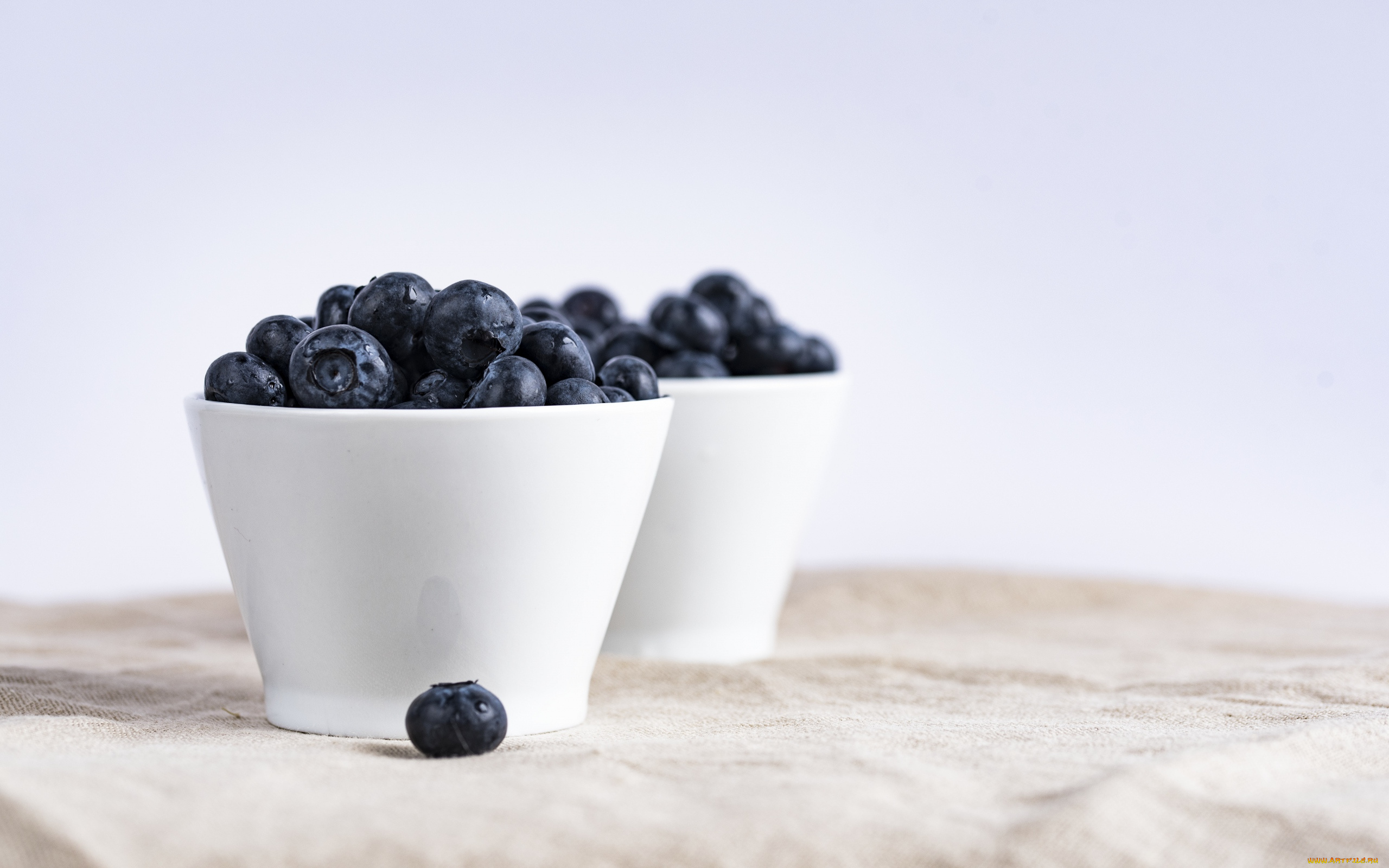еда, голубика, , черника, миски, черника, ягоды