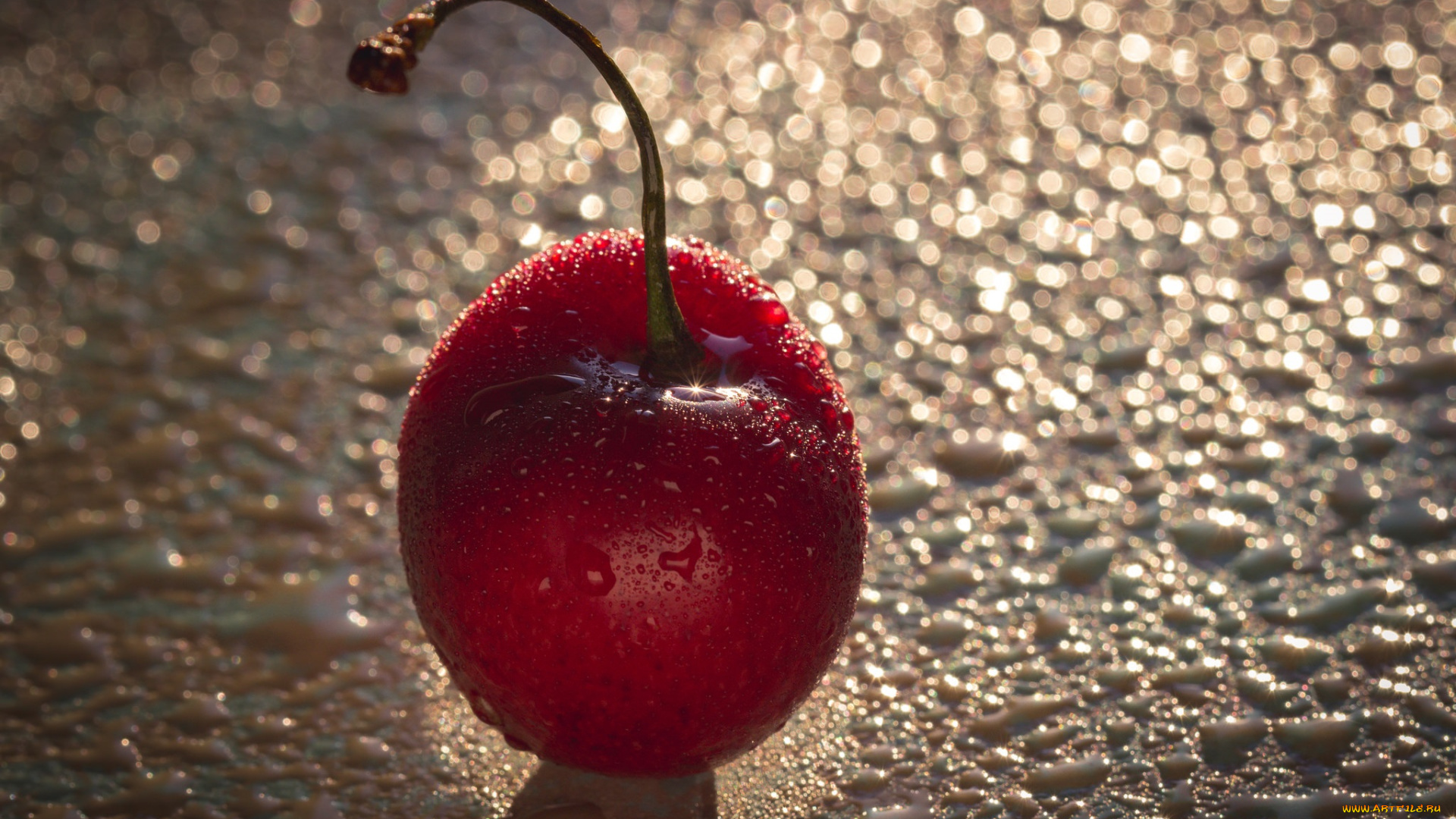 еда, вишня, , черешня, ягодка, красный, макро, капли