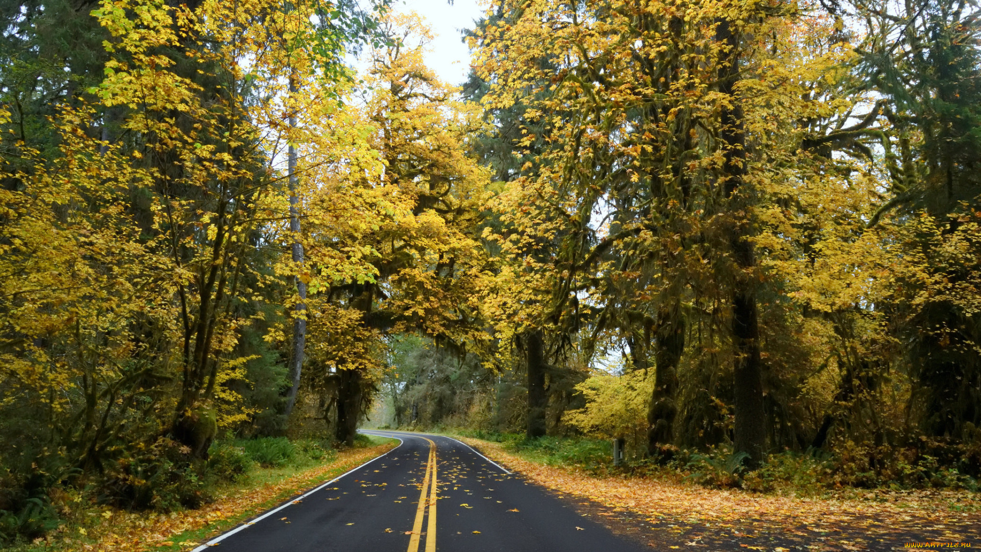 природа, дороги, простор