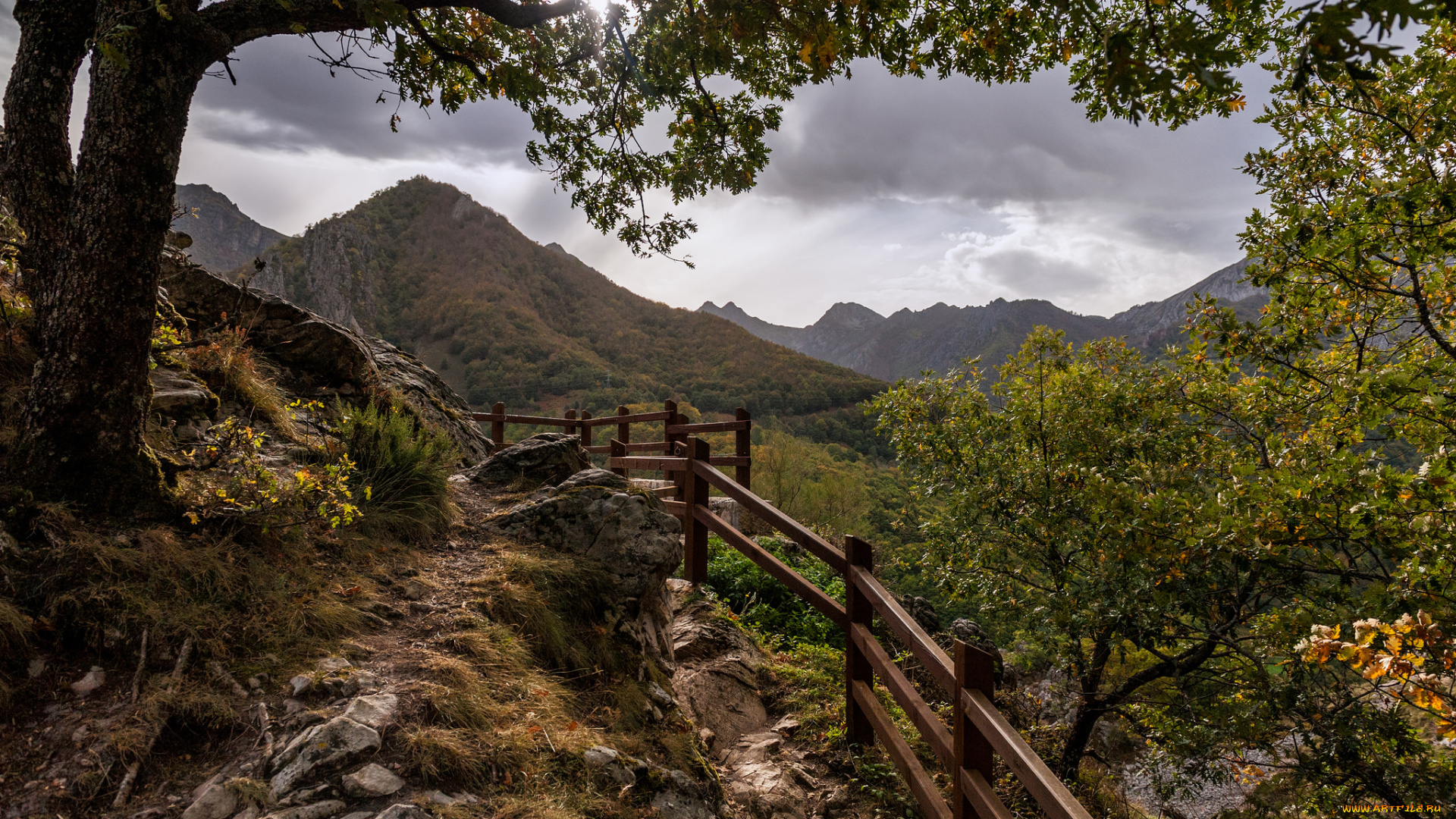 природа, горы, простор