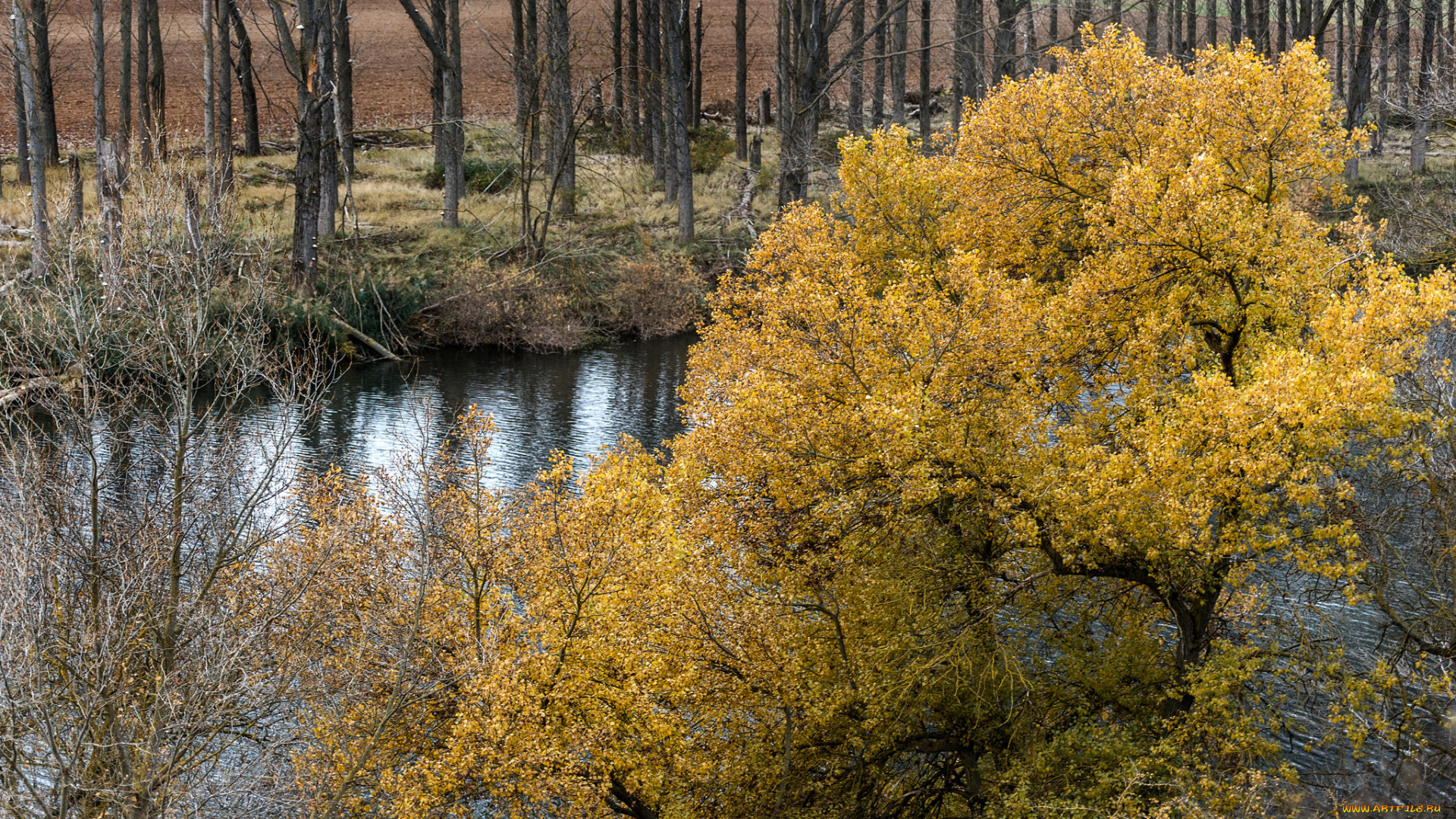 природа, реки, озера, простор