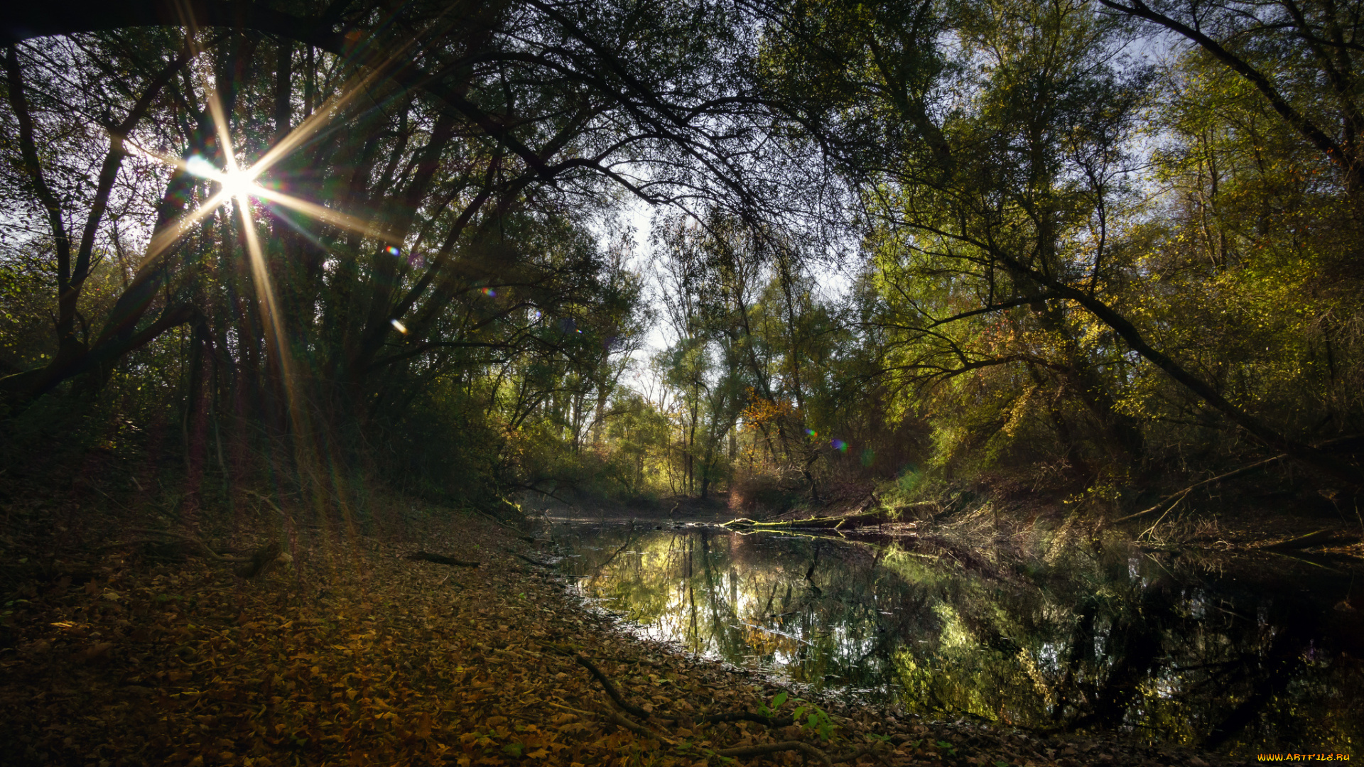 природа, реки, озера, простор