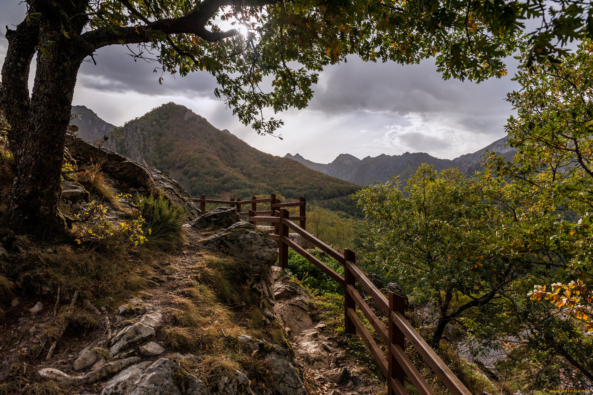 природа, горы, простор