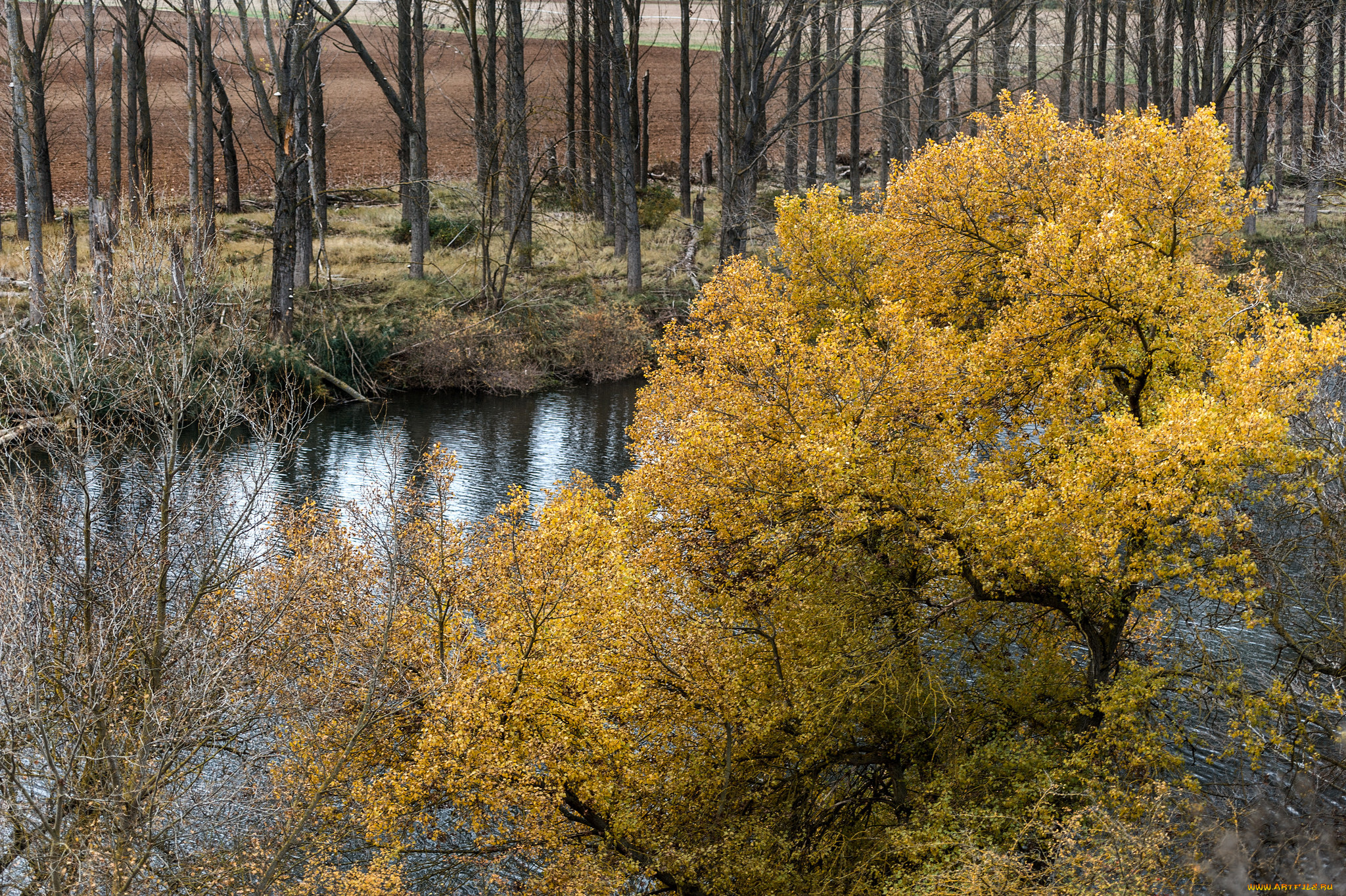 природа, реки, озера, простор