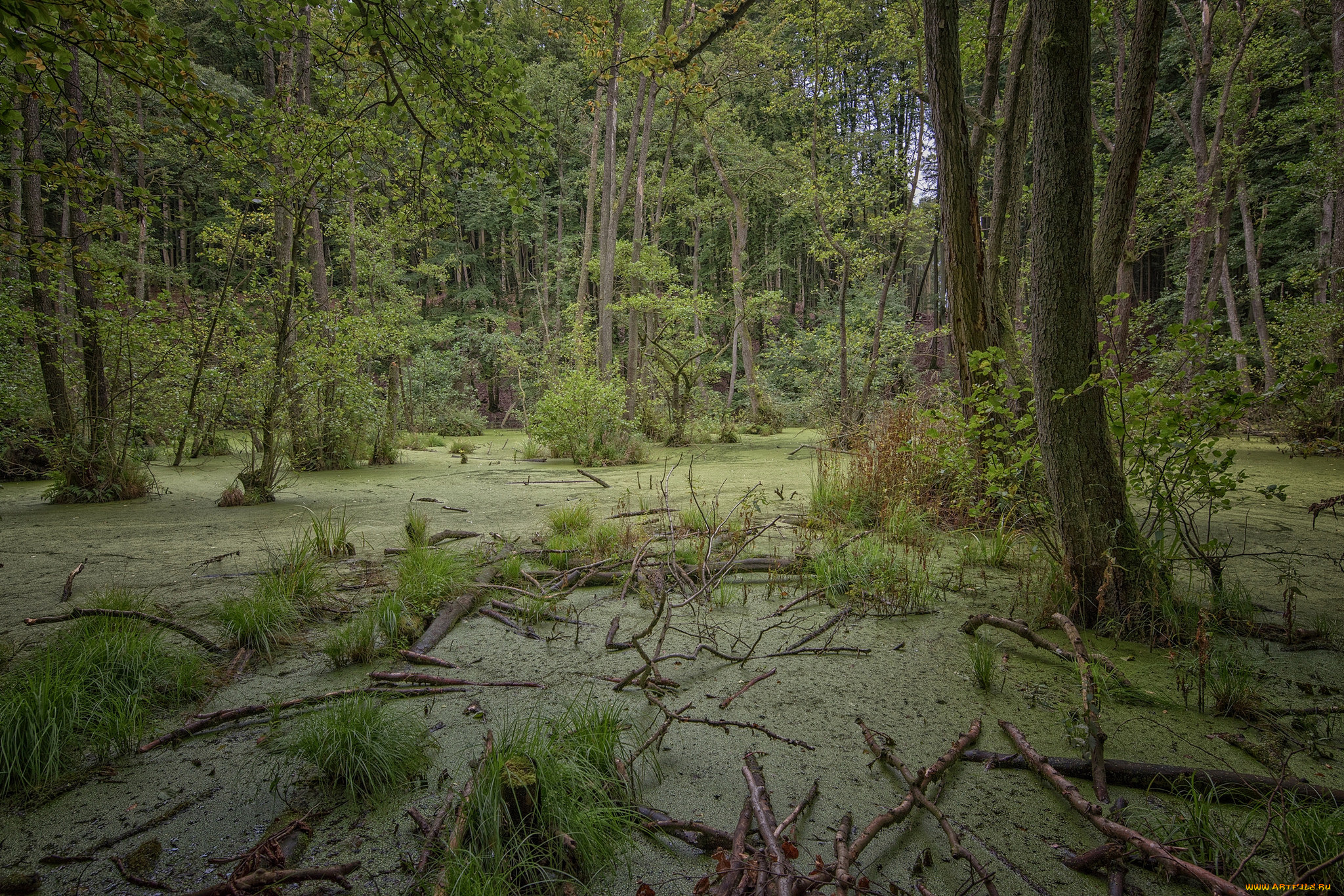 природа, реки, озера, простор