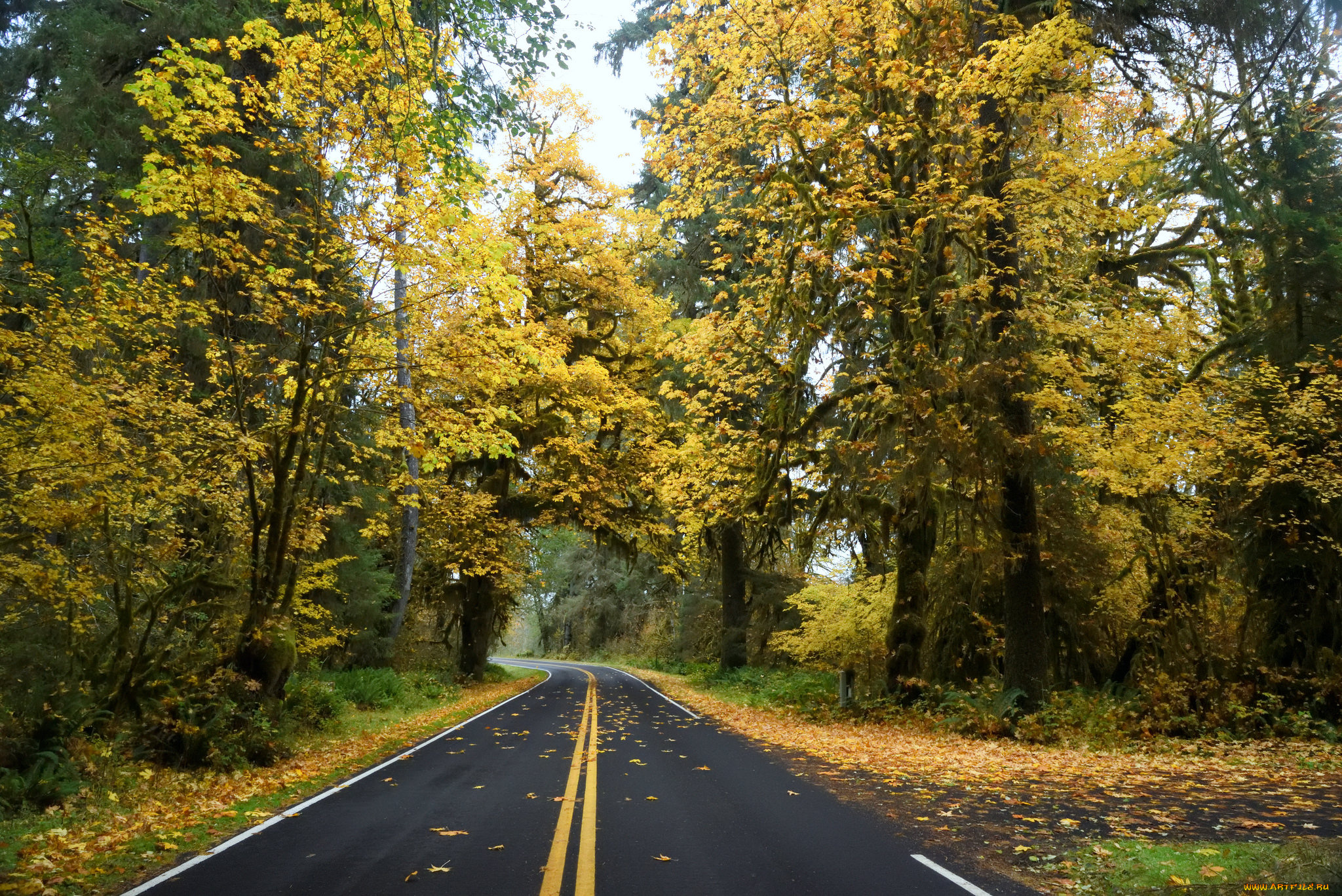 природа, дороги, простор