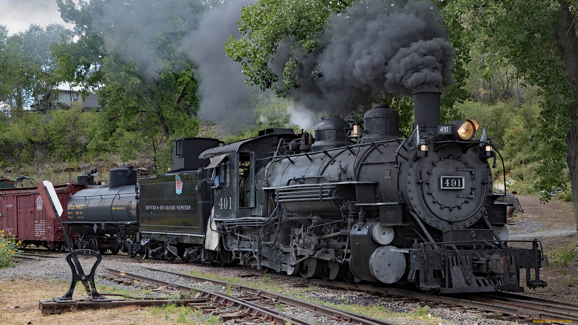 еда, орехи, , каштаны, , какао-бобы, фундук