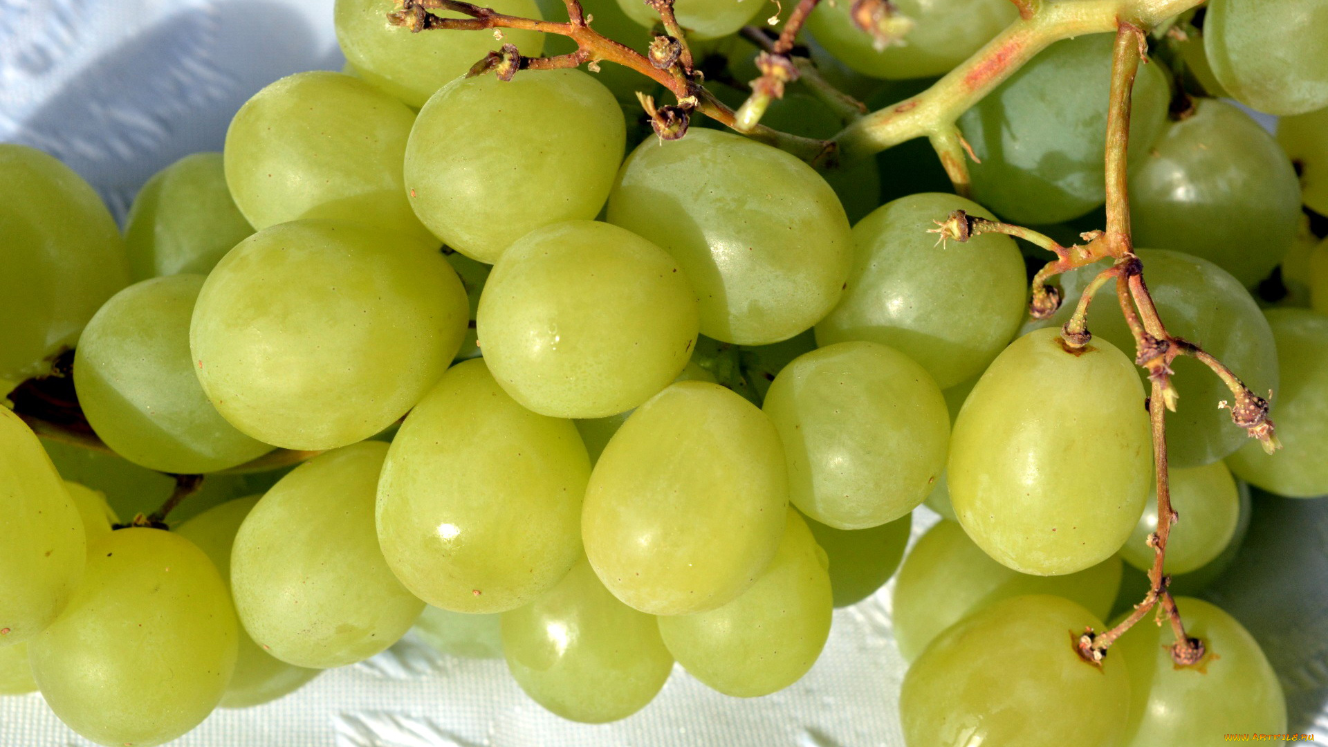 еда, виноград, ягоды