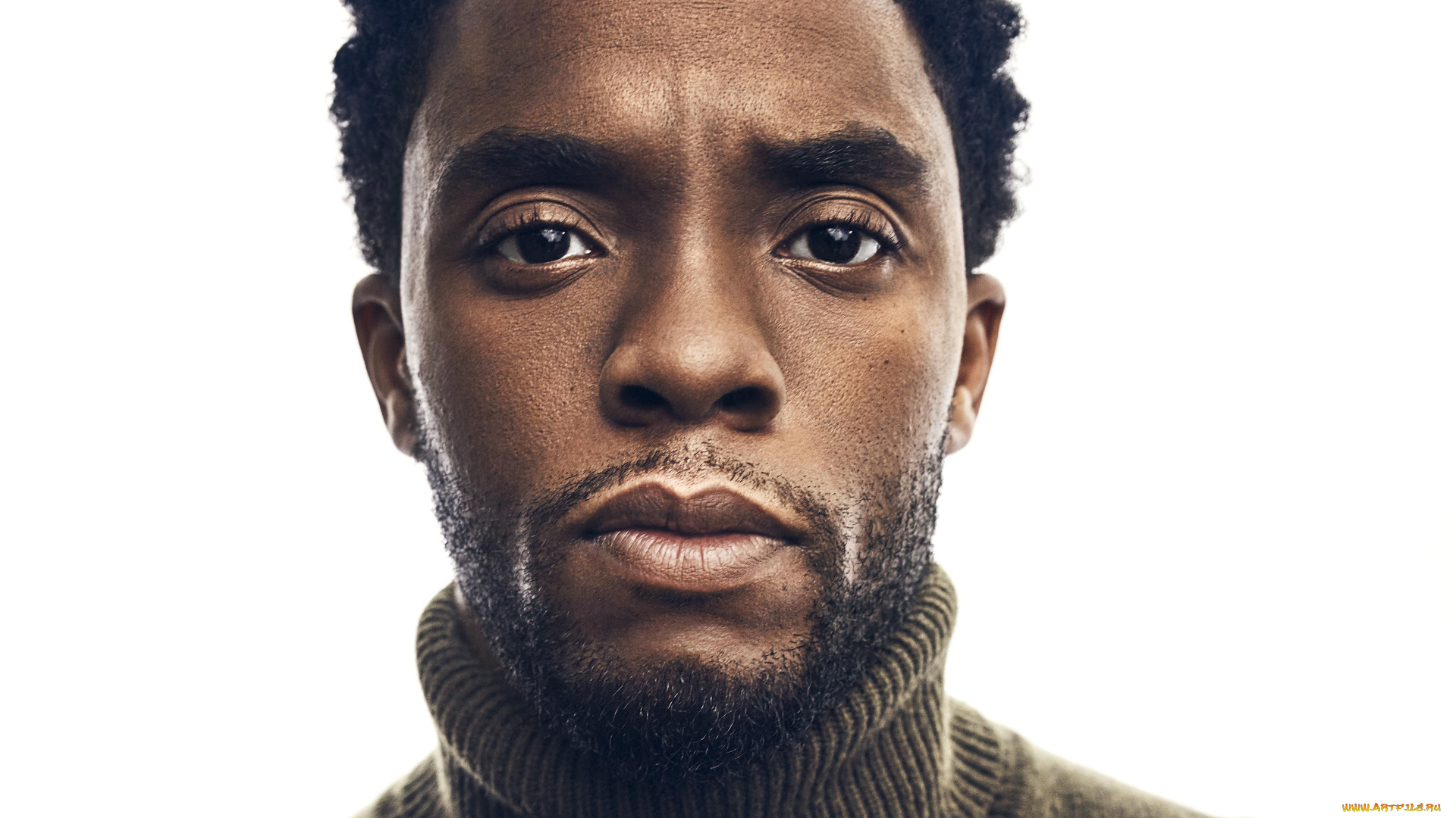 мужчины, chadwick, boseman, лицо, chadwick, boseman, свитер, актер