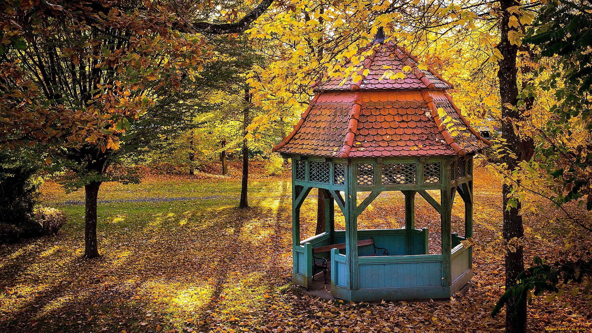 природа, парк, беседка