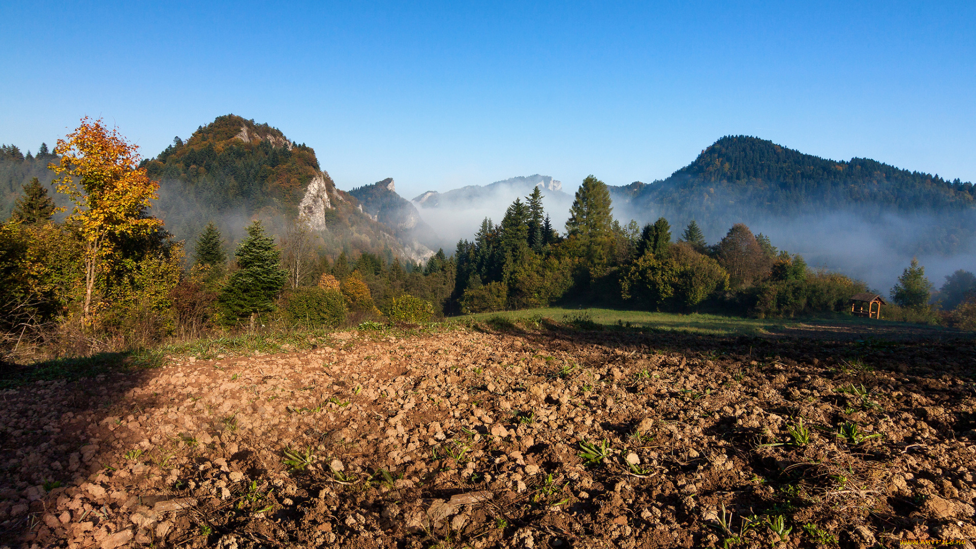природа, пейзажи, простор