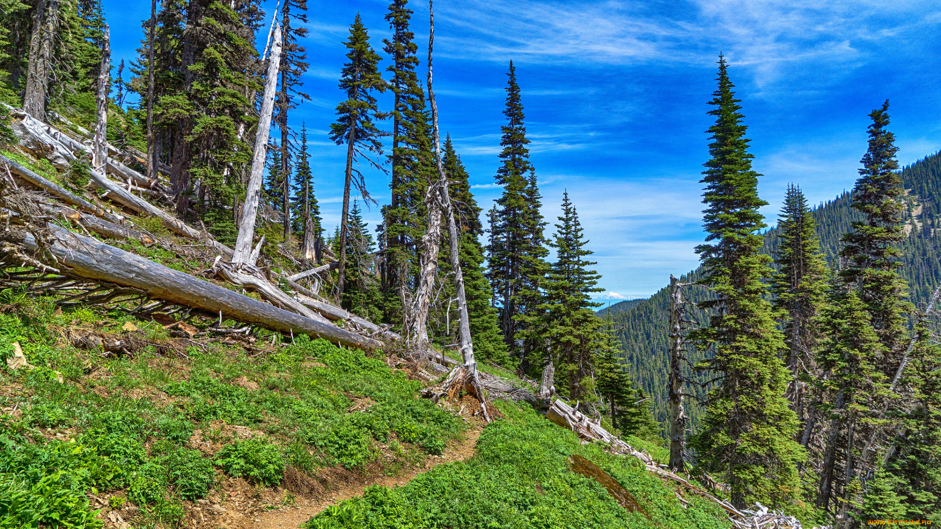 природа, пейзажи, простор