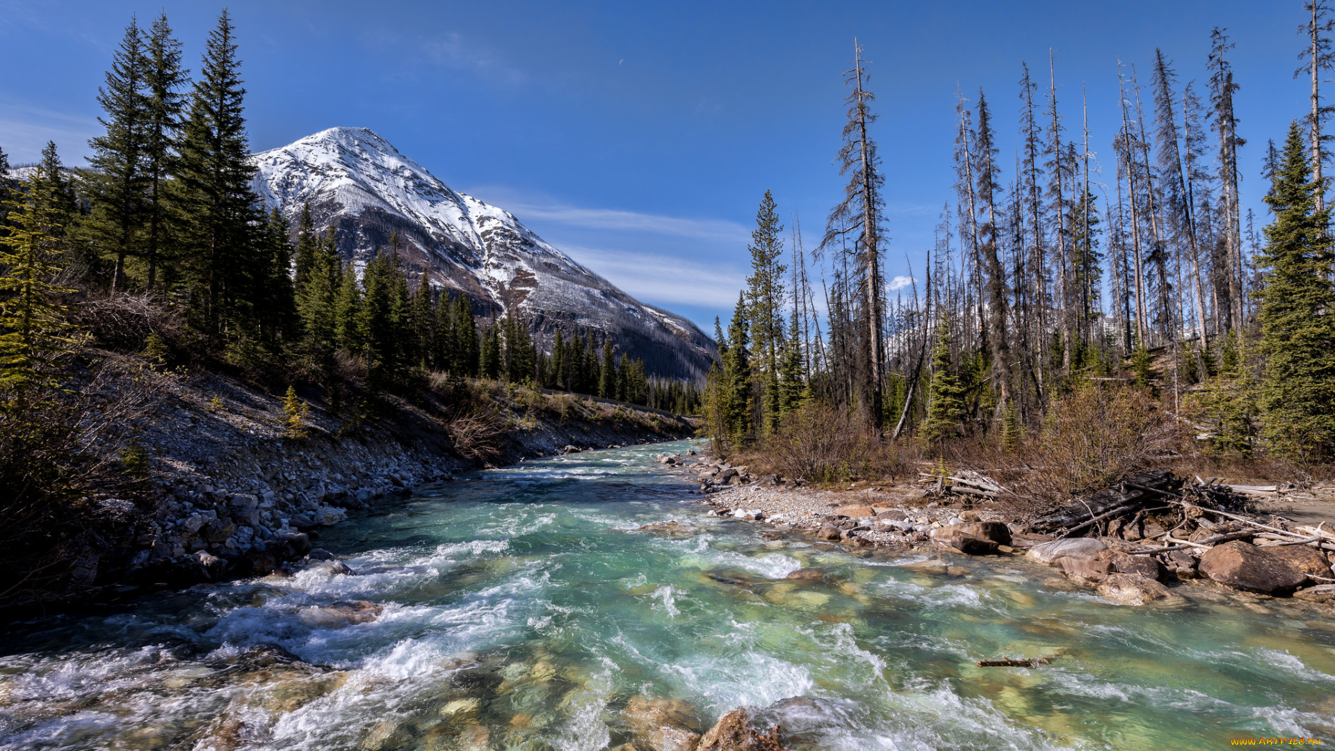 природа, реки, озера, простор