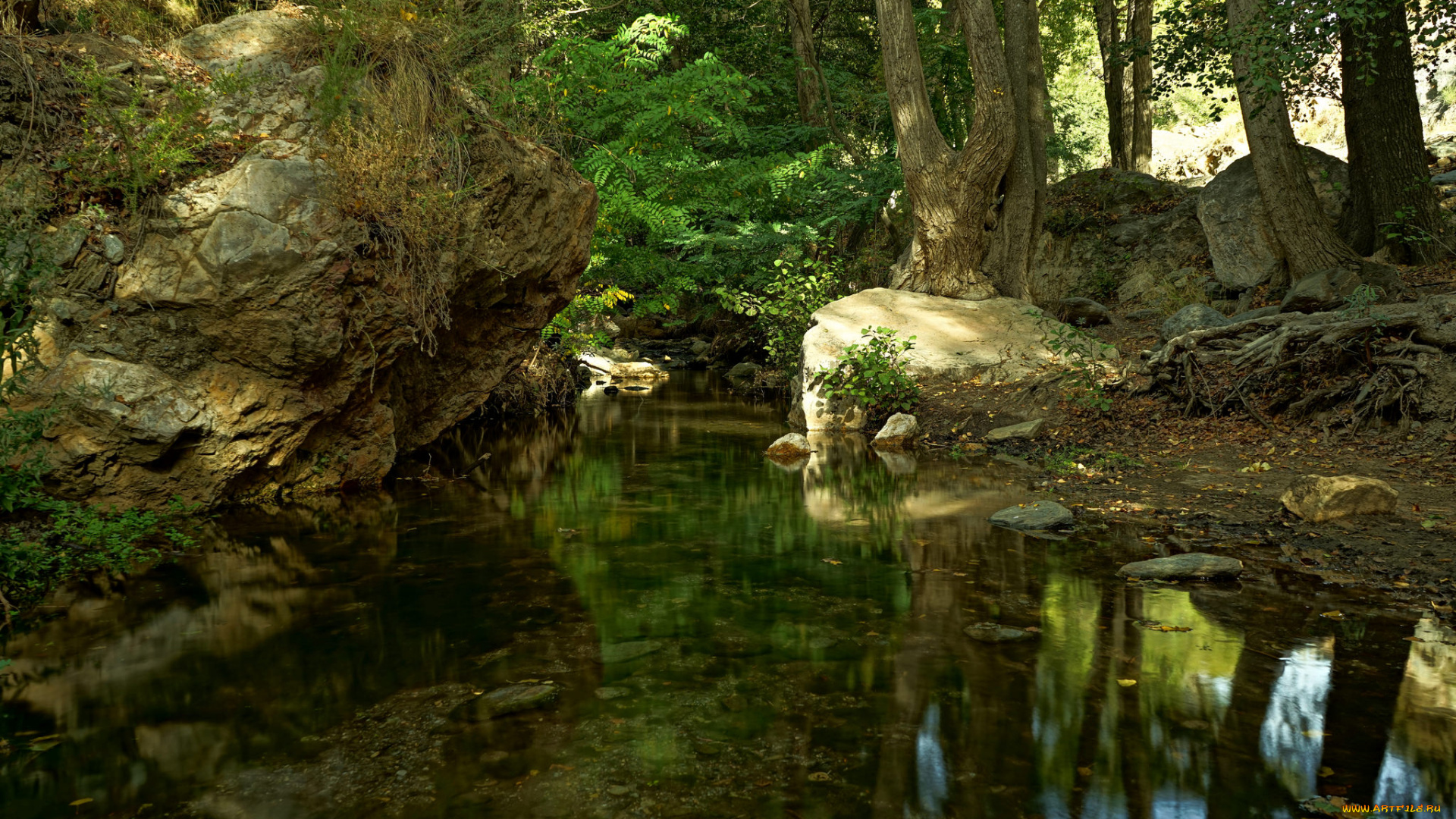 природа, реки, озера, простор