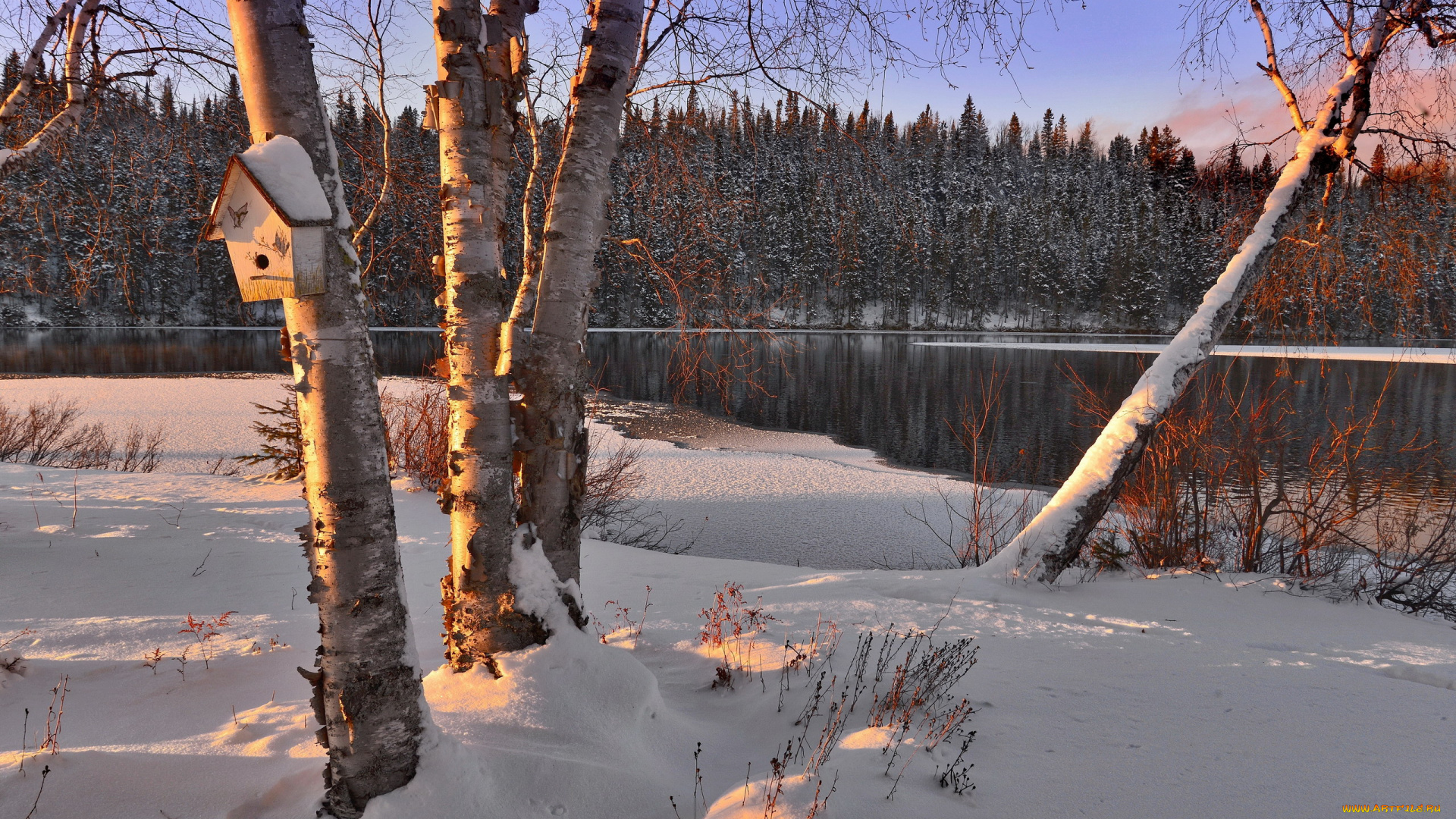 природа, зима, снег