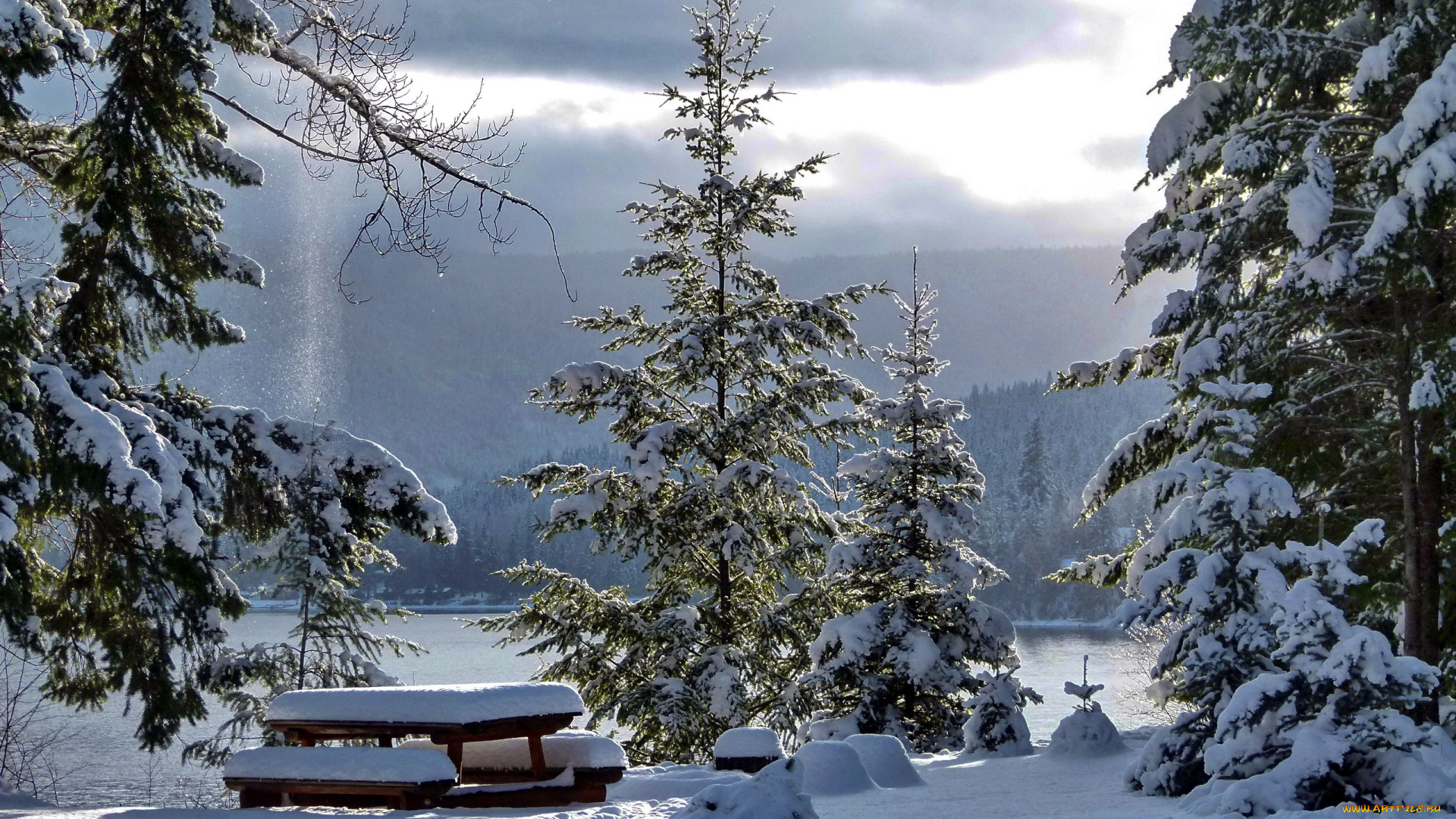 природа, зима, снег