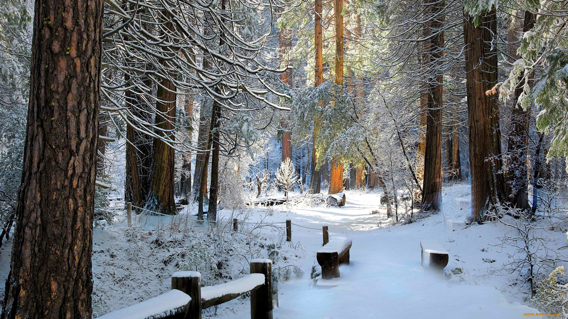 природа, зима, снег