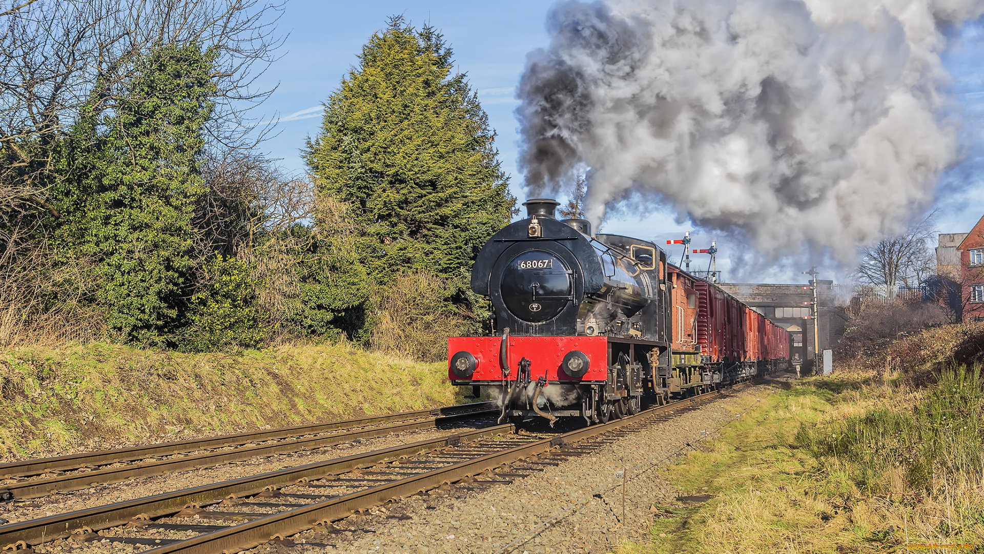 техника, паровозы, локомотив, состав