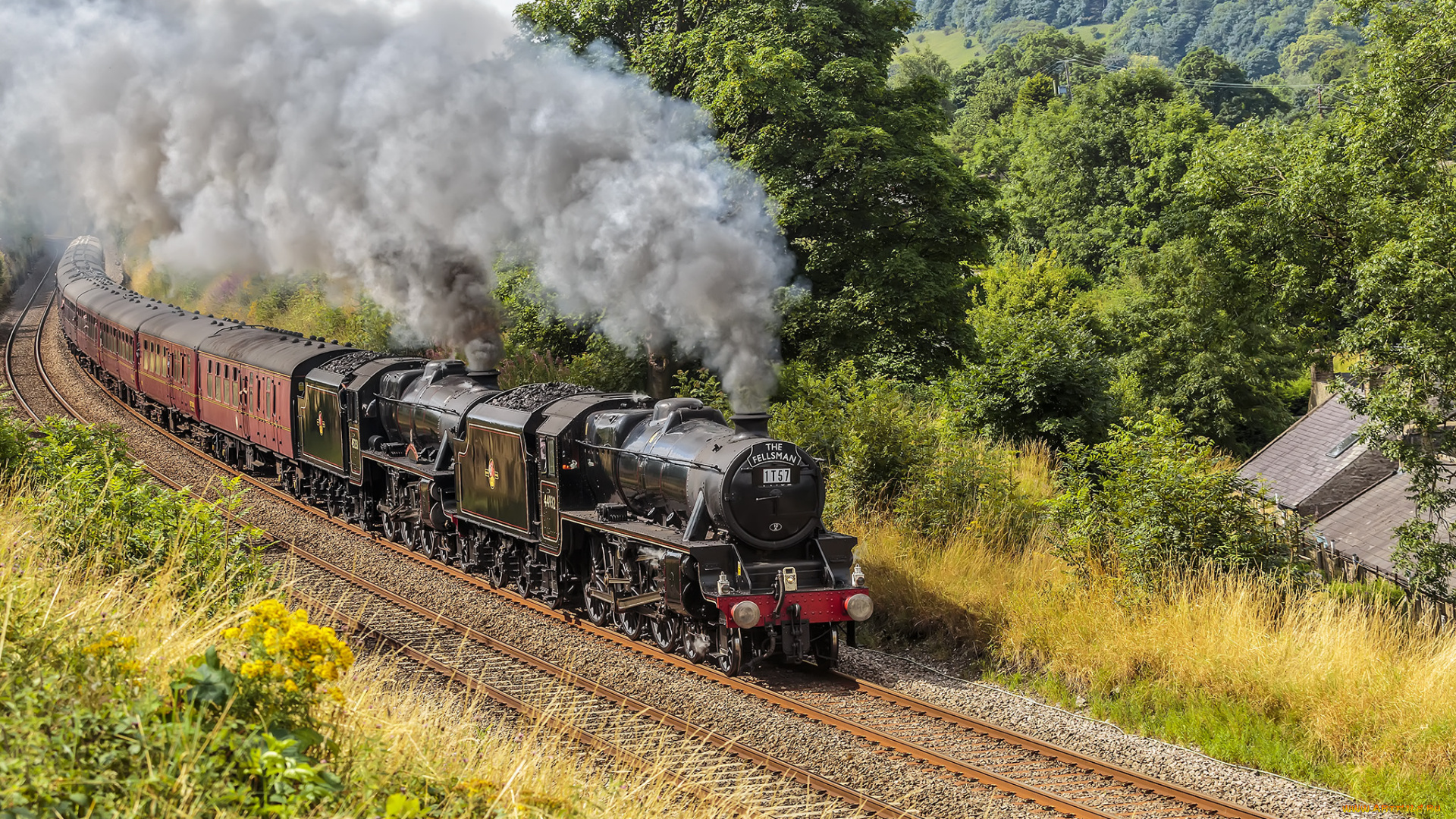 техника, паровозы, локомотив, состав