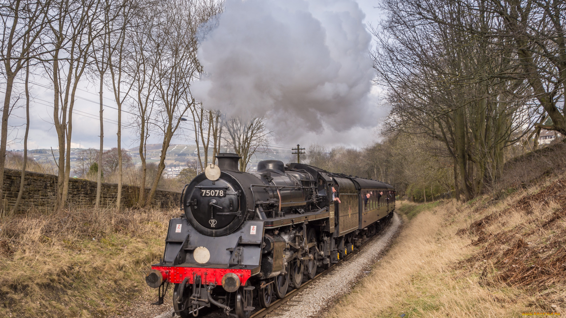 техника, паровозы, локомотив, состав