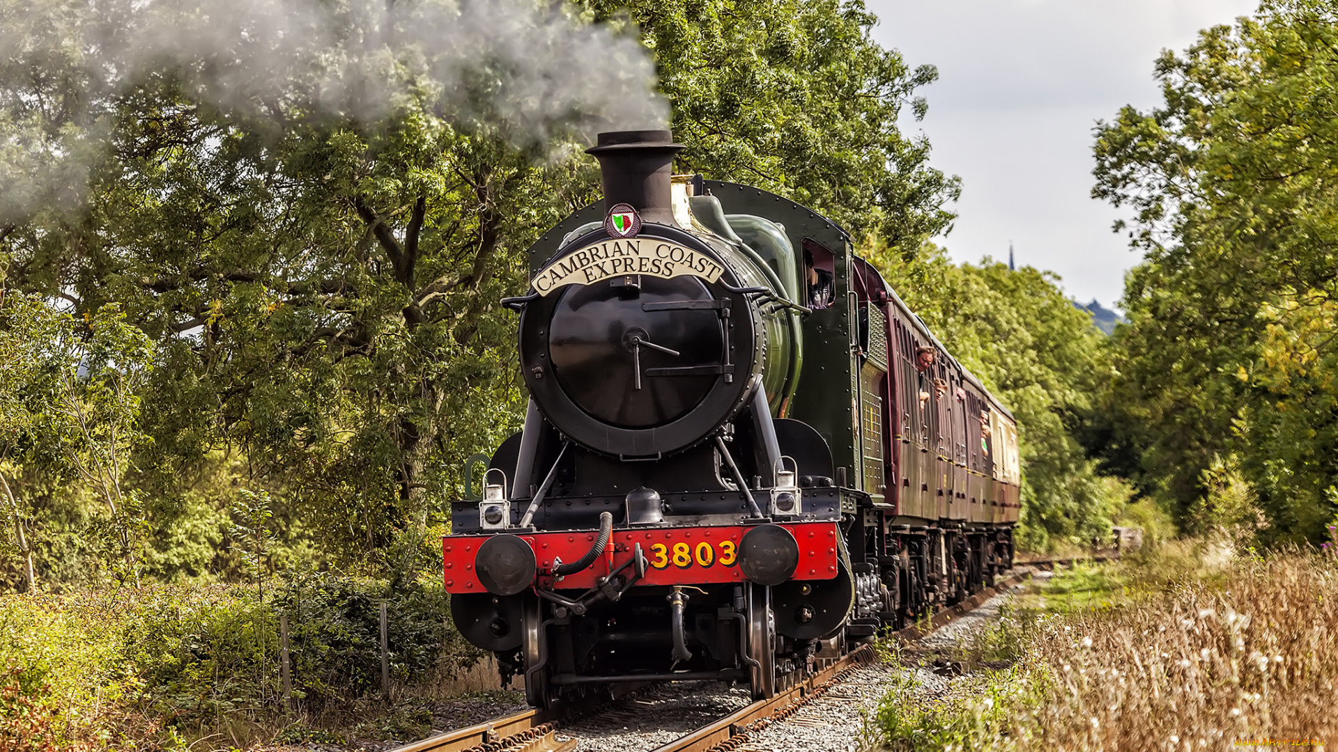 техника, паровозы, локомотив, состав