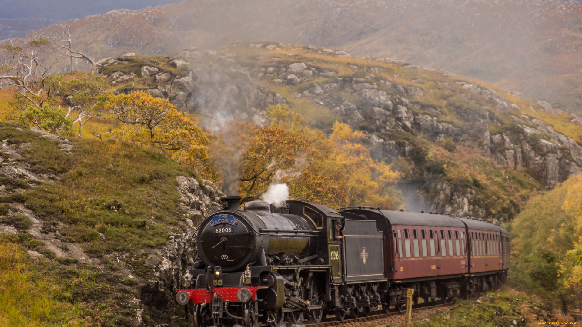 техника, паровозы, локомотив, состав