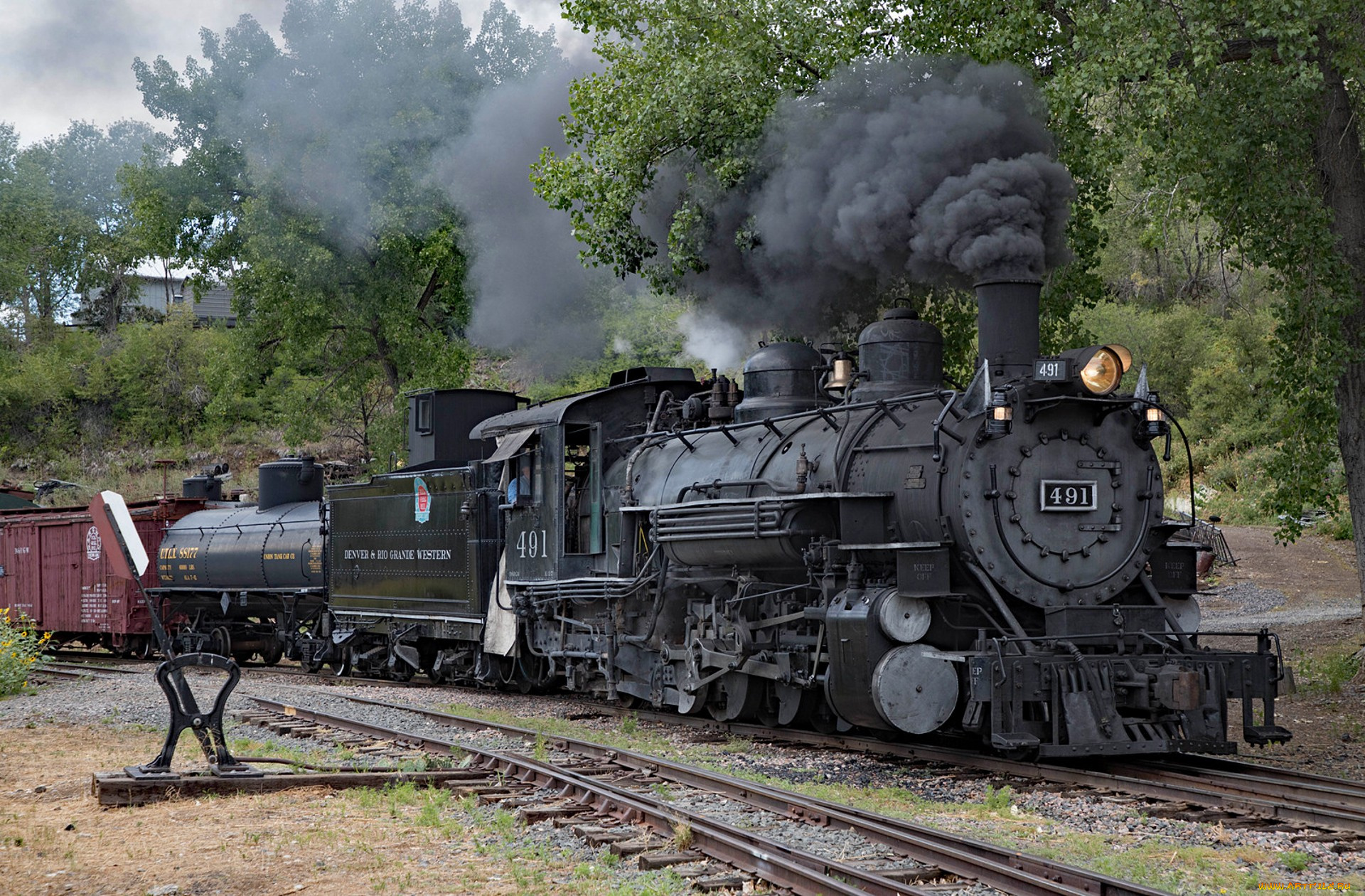 еда, орехи, , каштаны, , какао-бобы, фундук