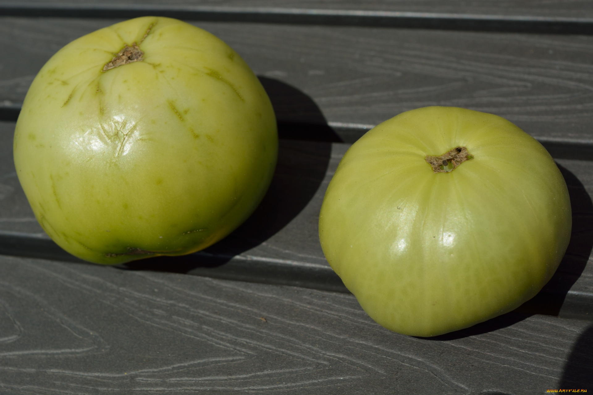 еда, помидоры, зеленые, томаты