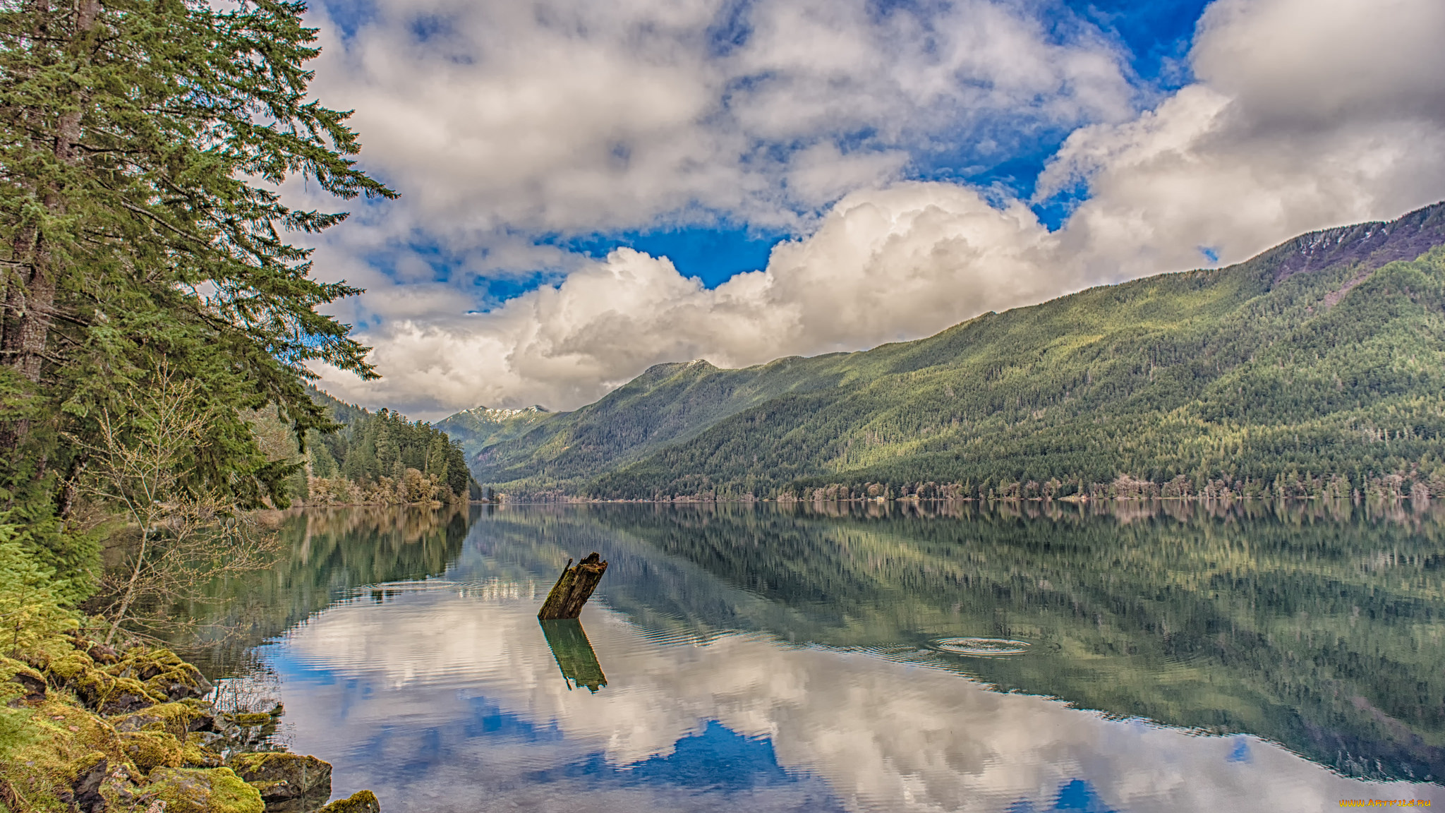 природа, реки, озера, простор