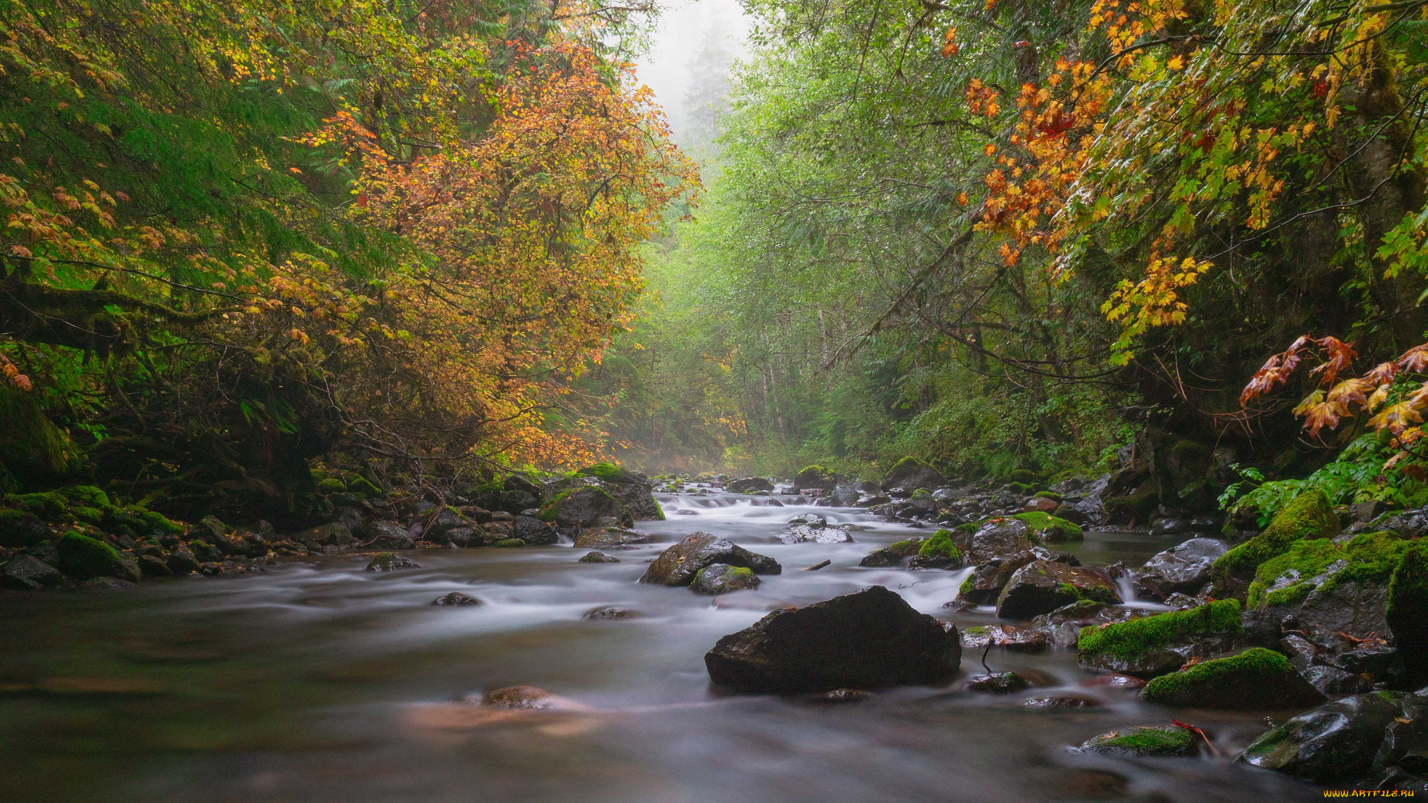 природа, реки, озера, простор