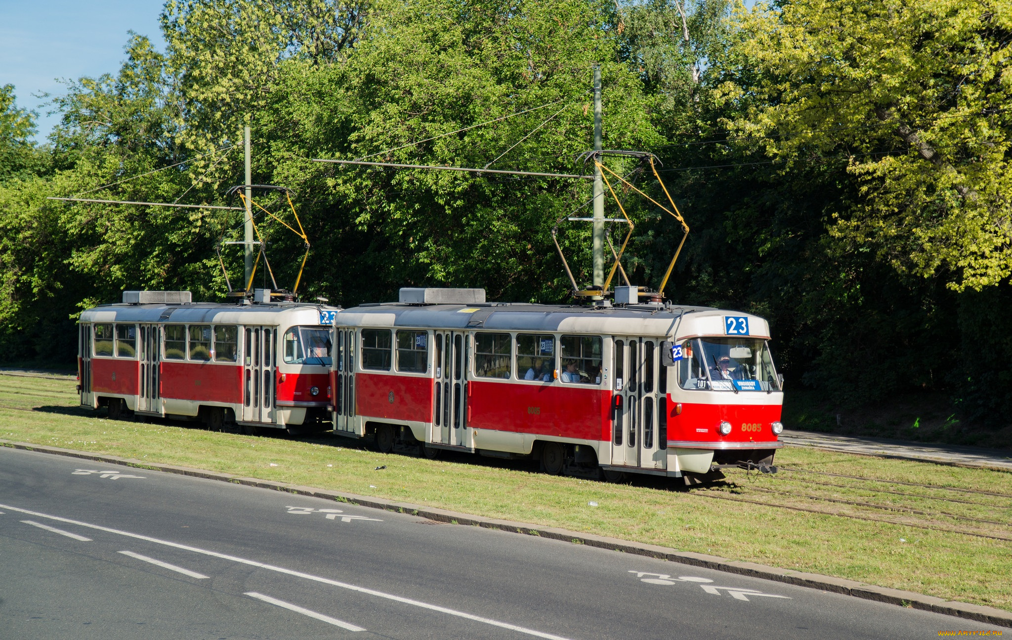 техника, трамваи, трамвай