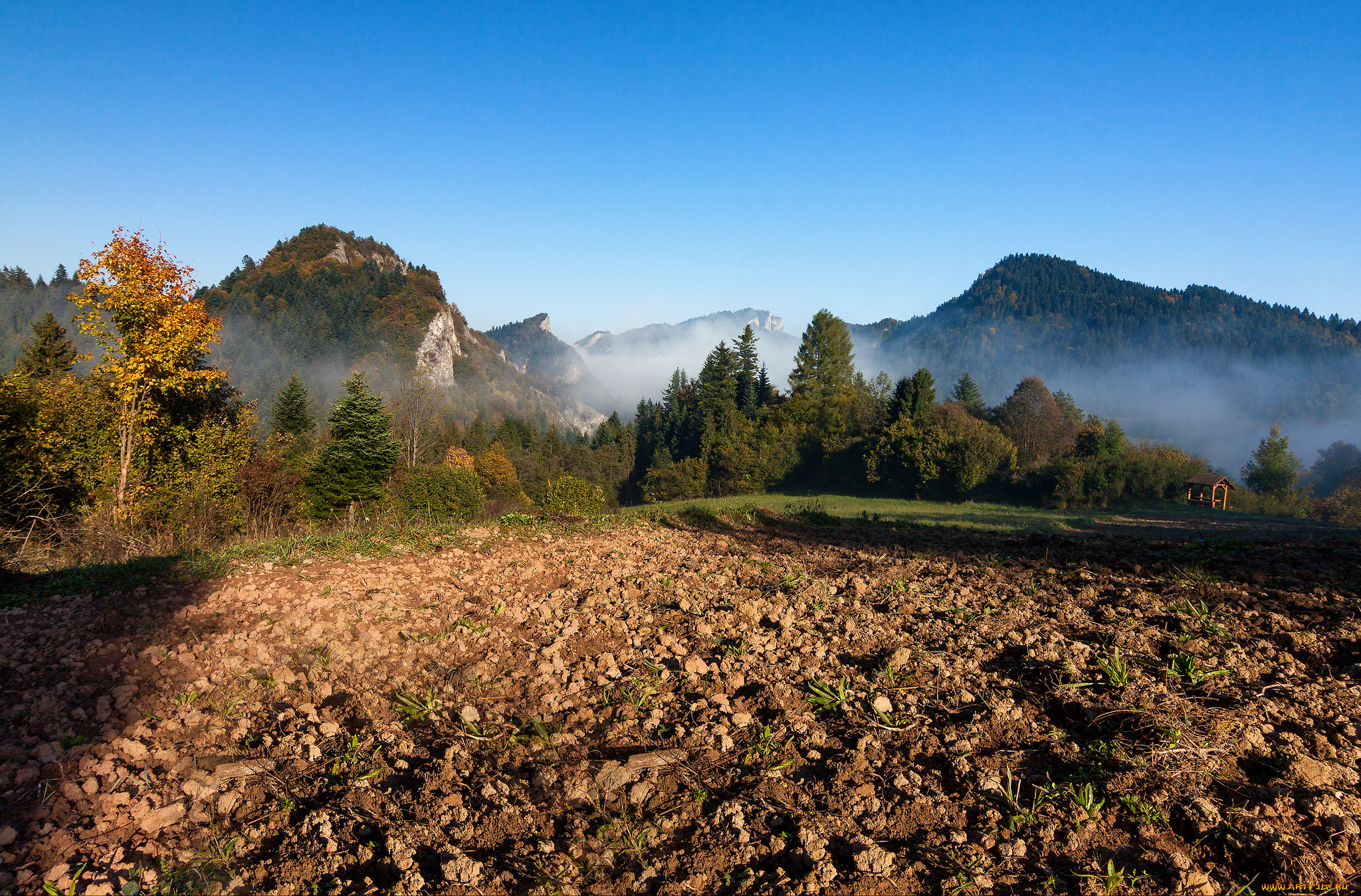 природа, пейзажи, простор