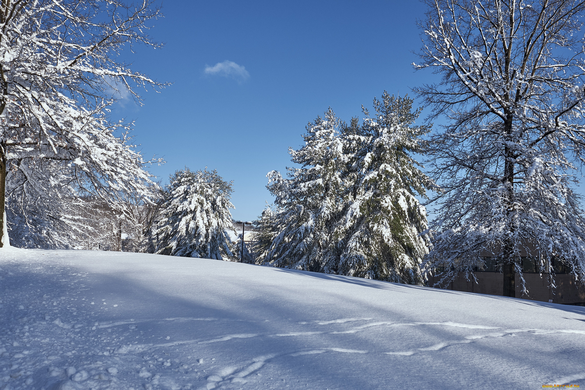 природа, зима, простор