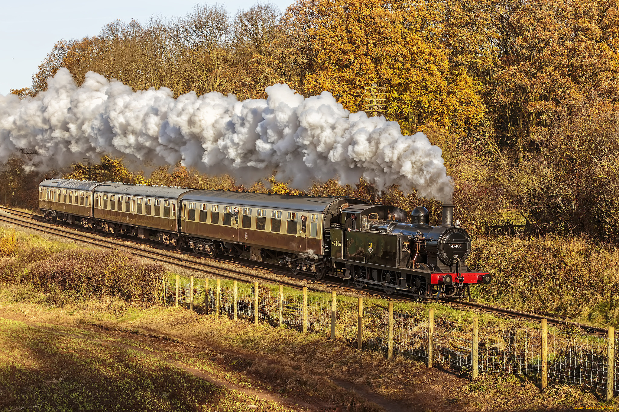 техника, паровозы, локомотив, состав
