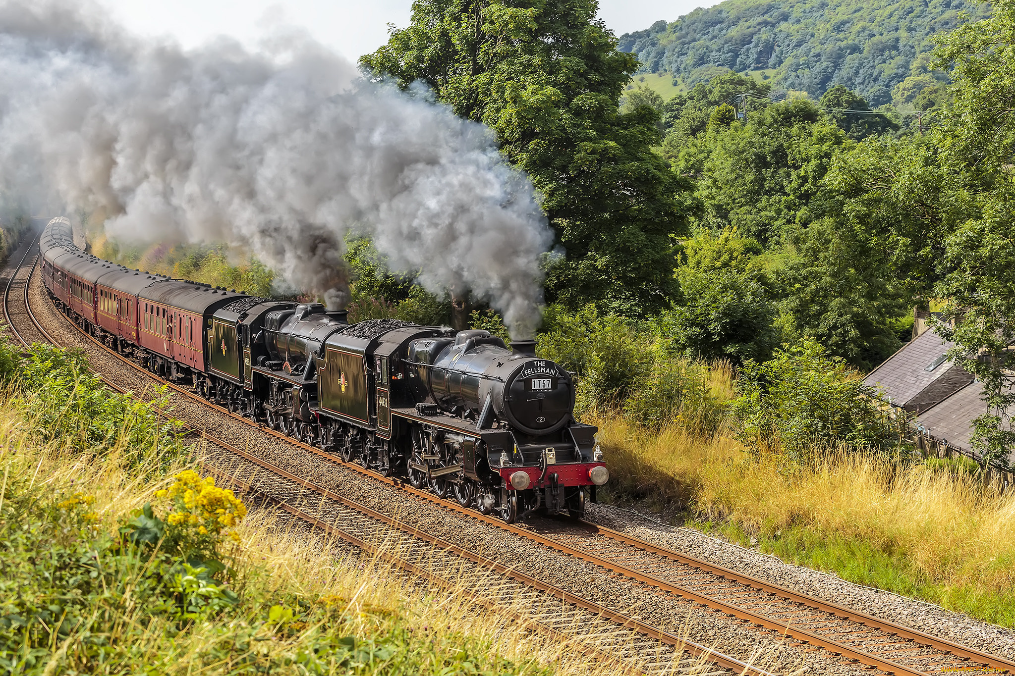 техника, паровозы, локомотив, состав