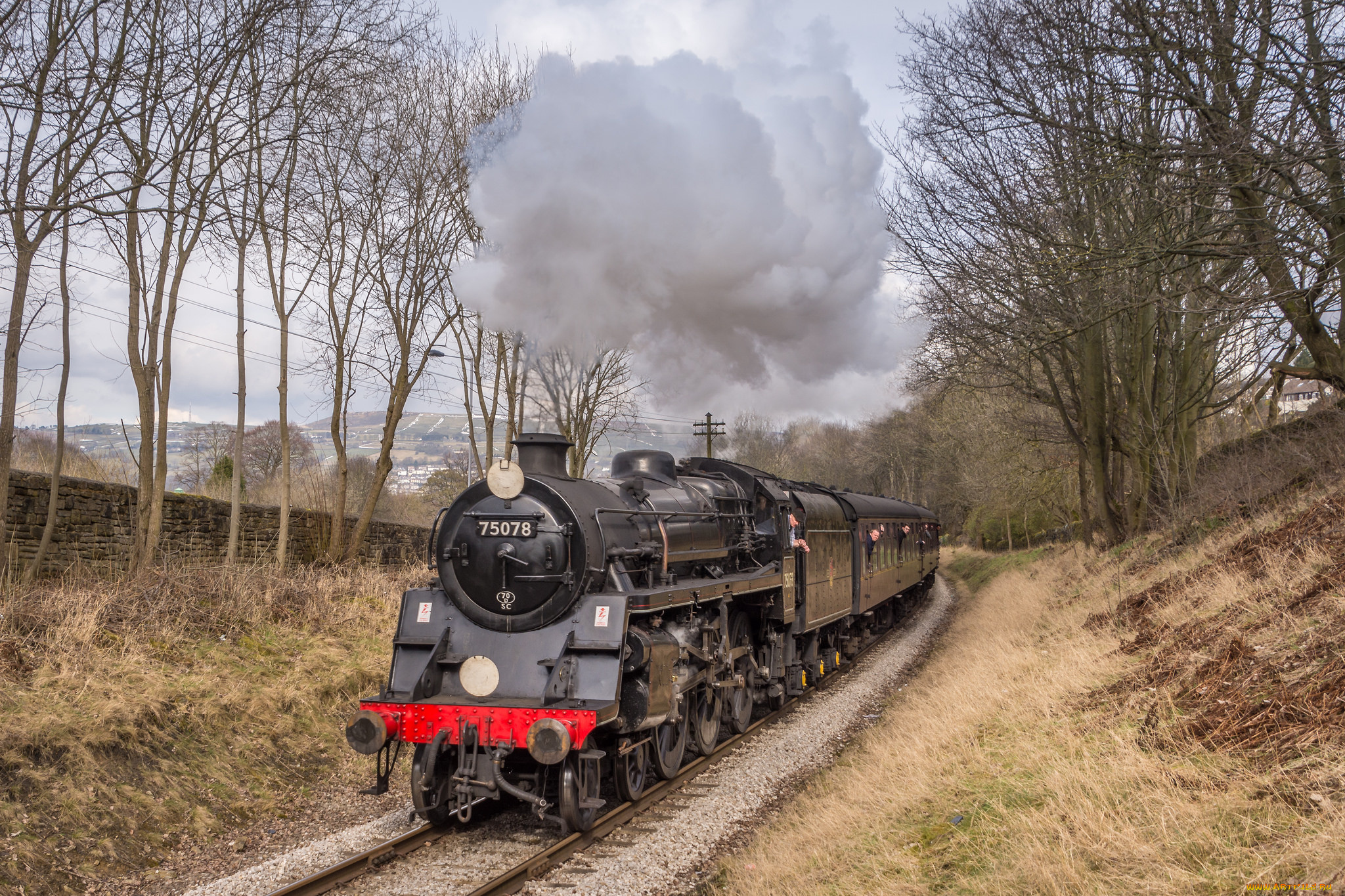 техника, паровозы, локомотив, состав