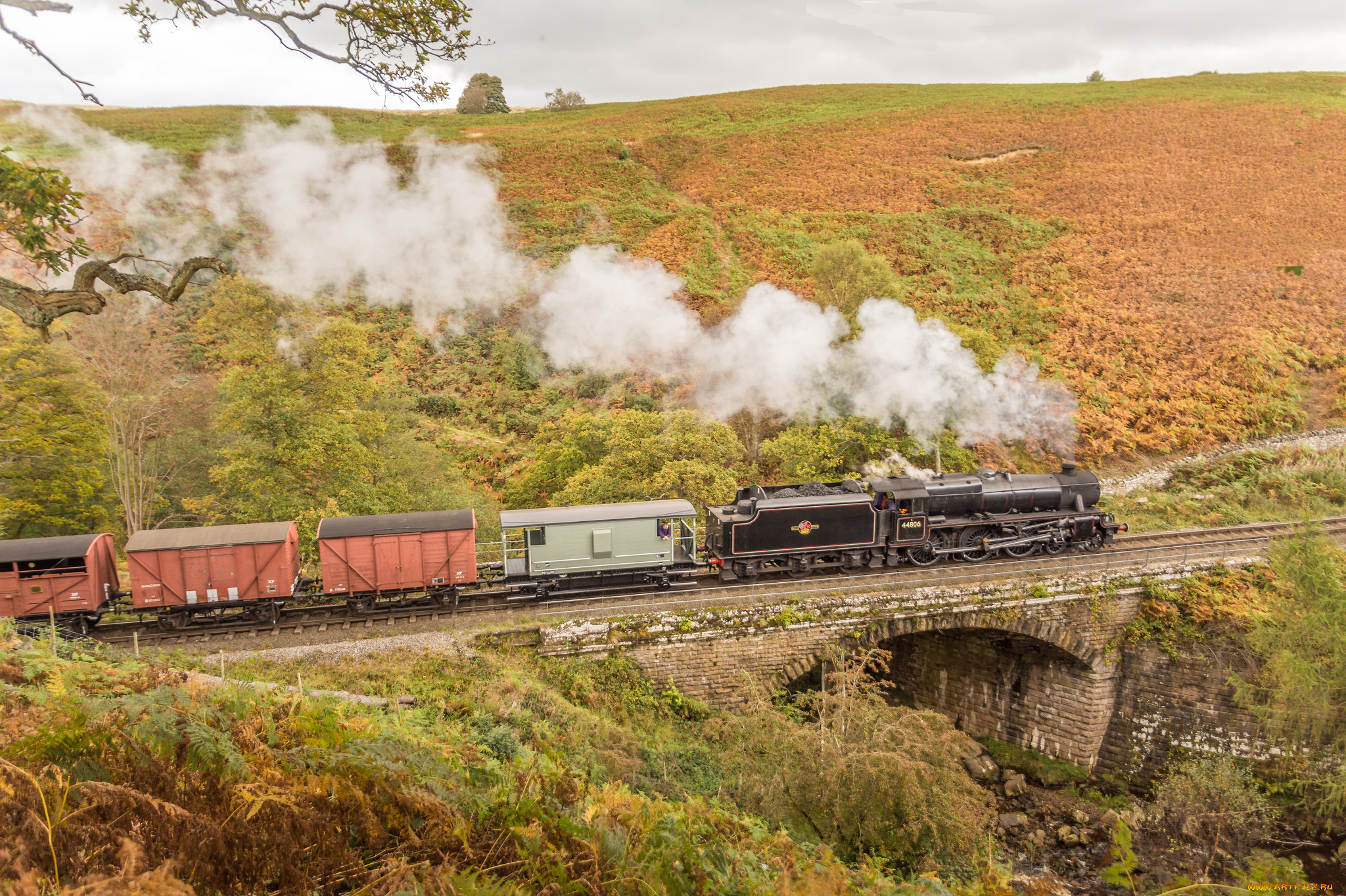 техника, паровозы, локомотив, состав