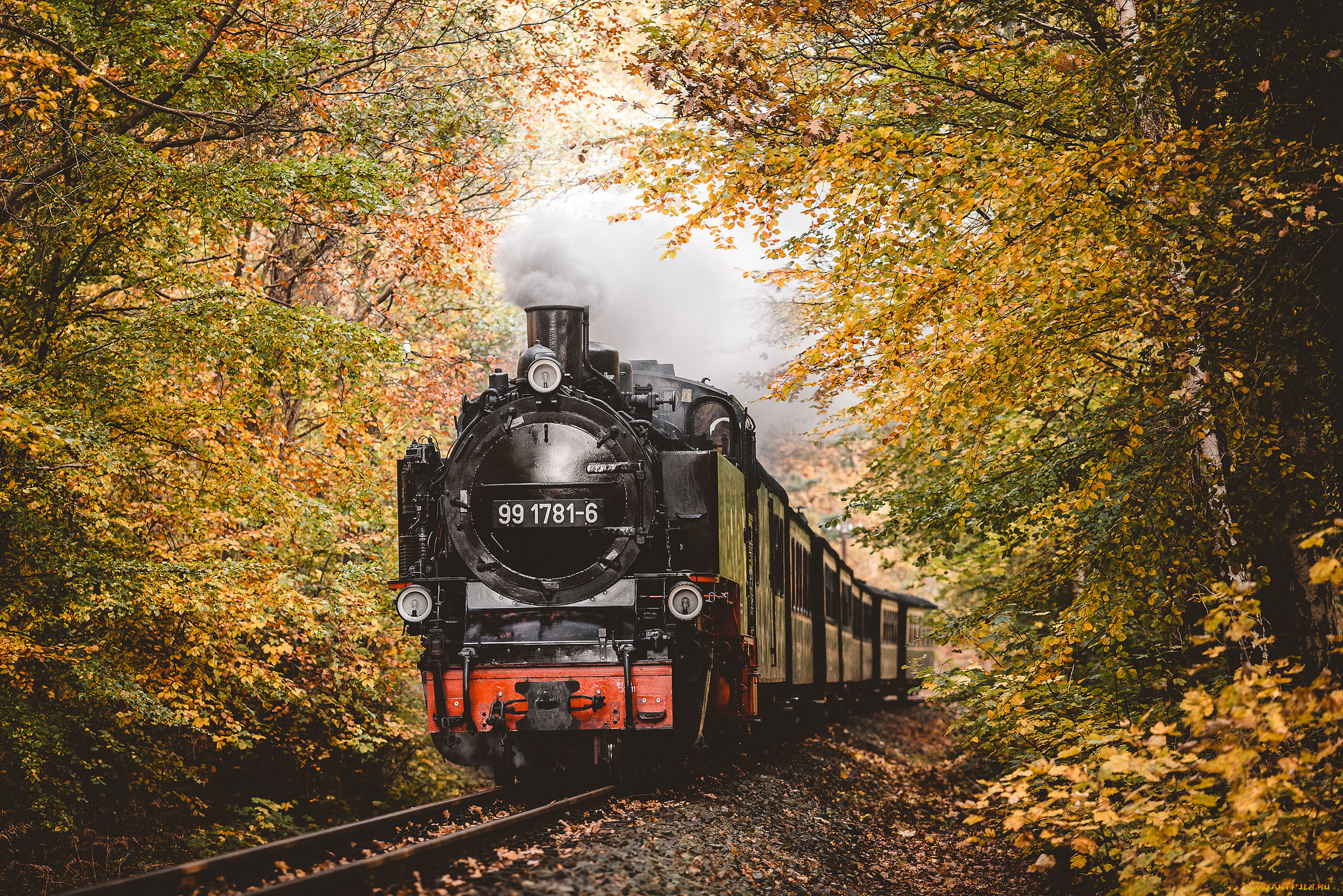 техника, паровозы, локомотив, состав