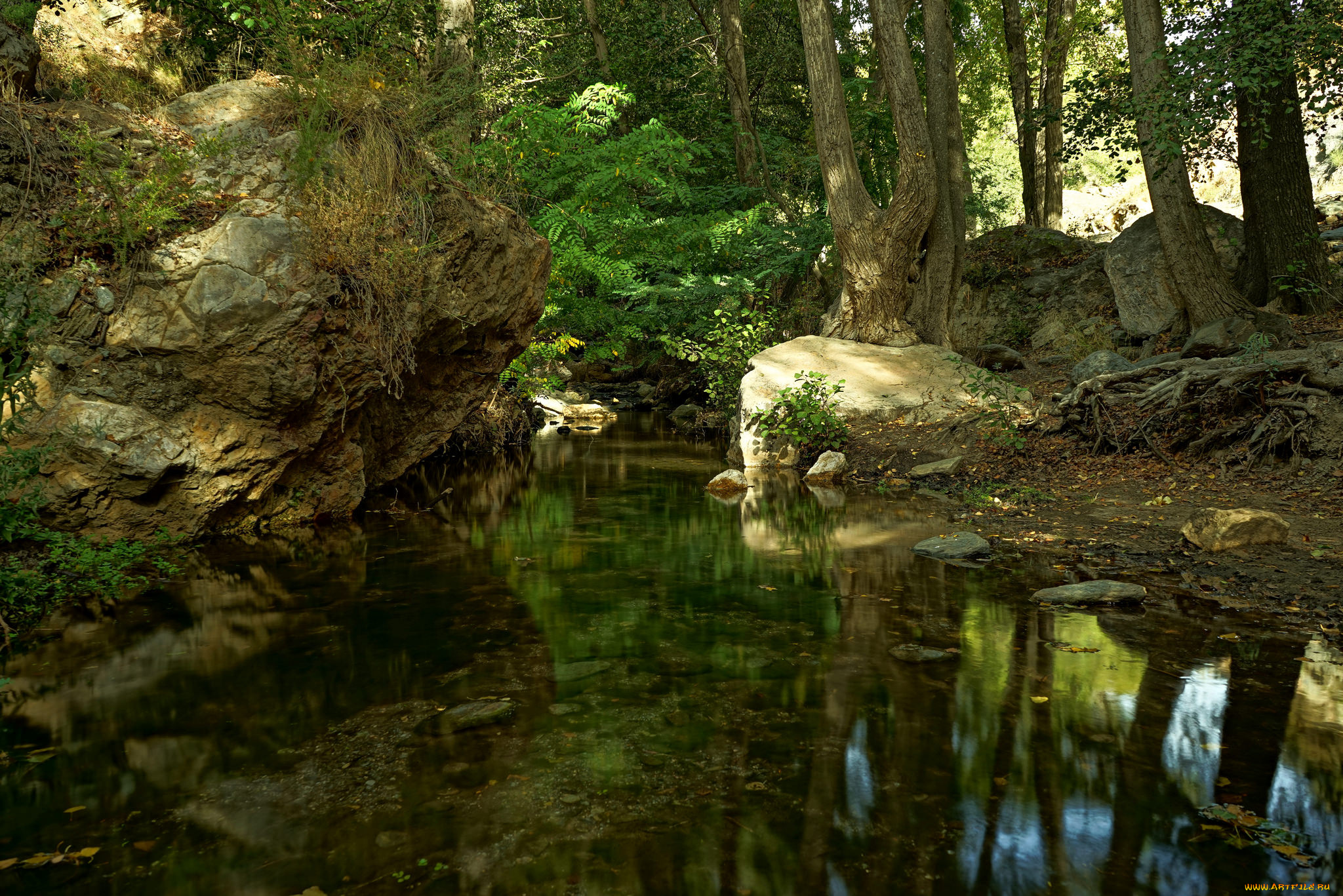 природа, реки, озера, простор