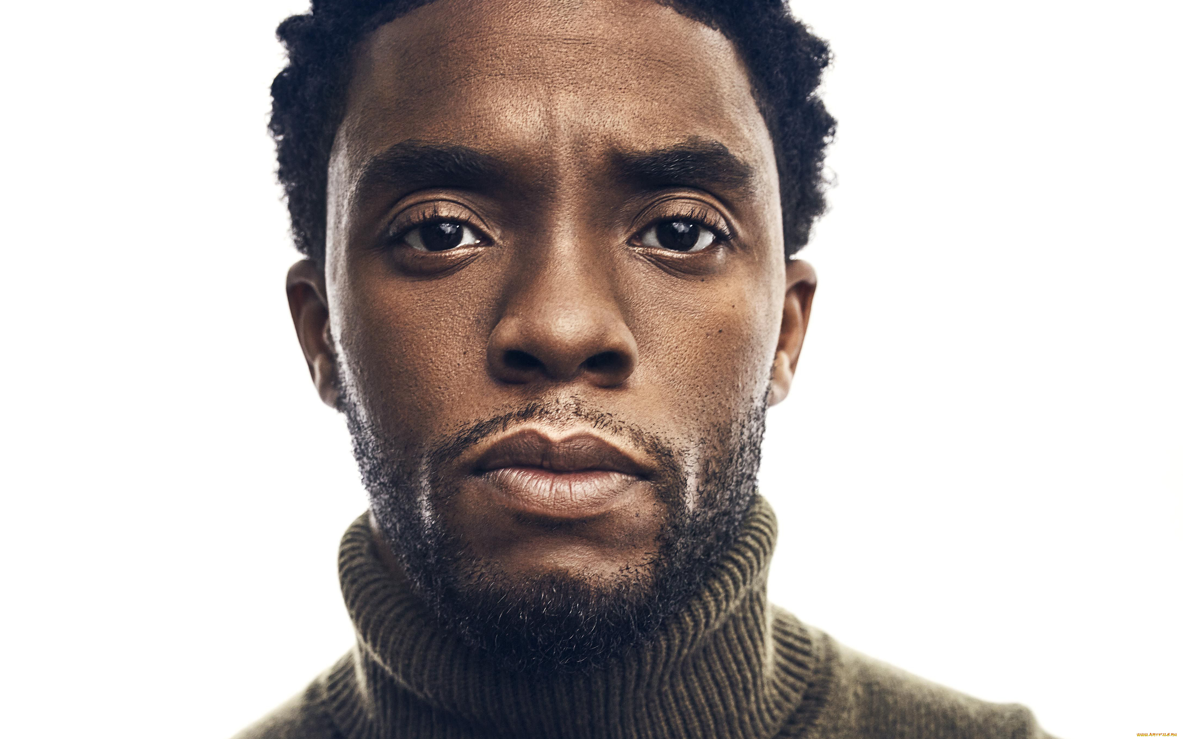 мужчины, chadwick, boseman, лицо, chadwick, boseman, свитер, актер