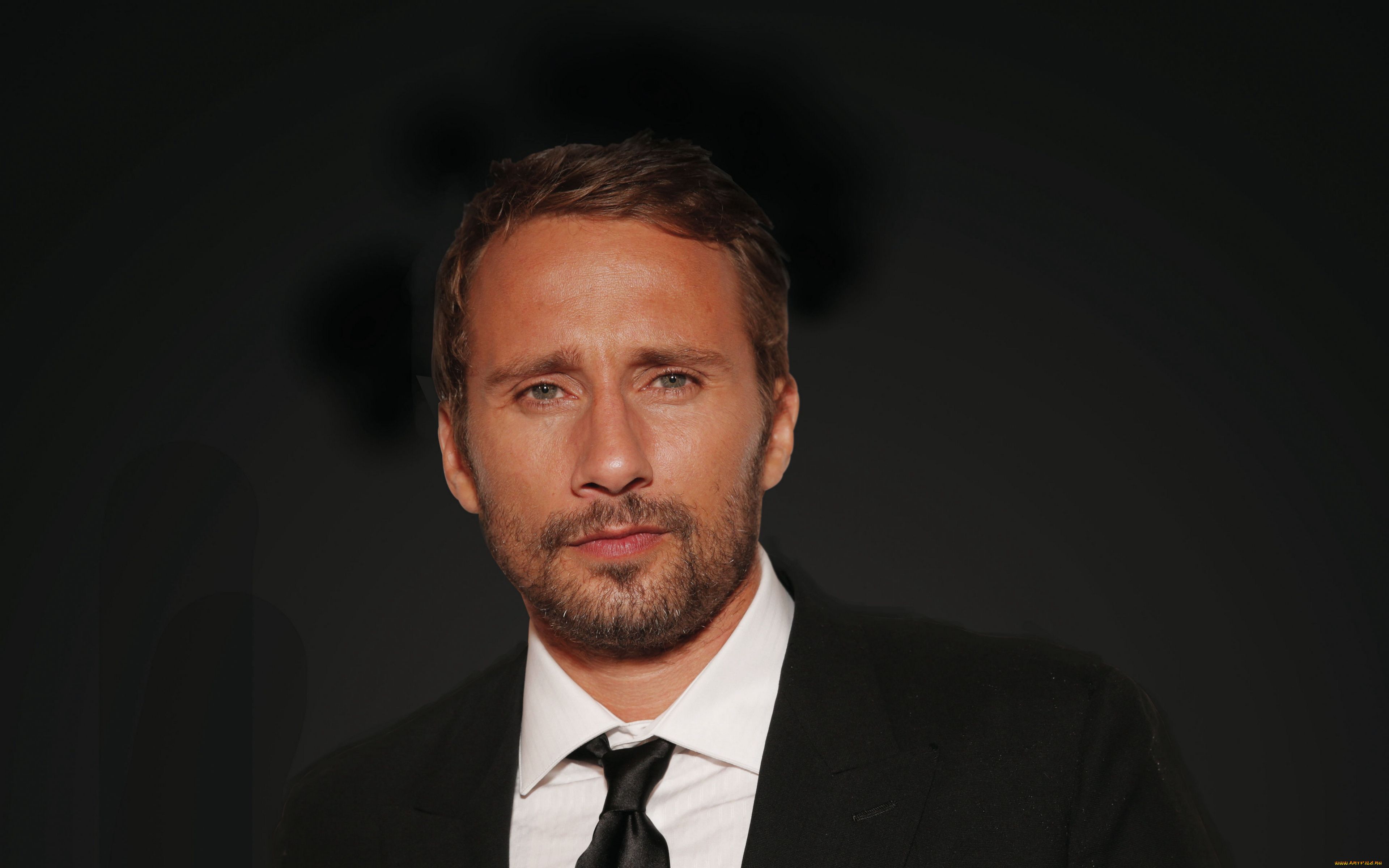 мужчины, matthias, schoenaerts, костюм, борода, актер, matthias, schoenaerts