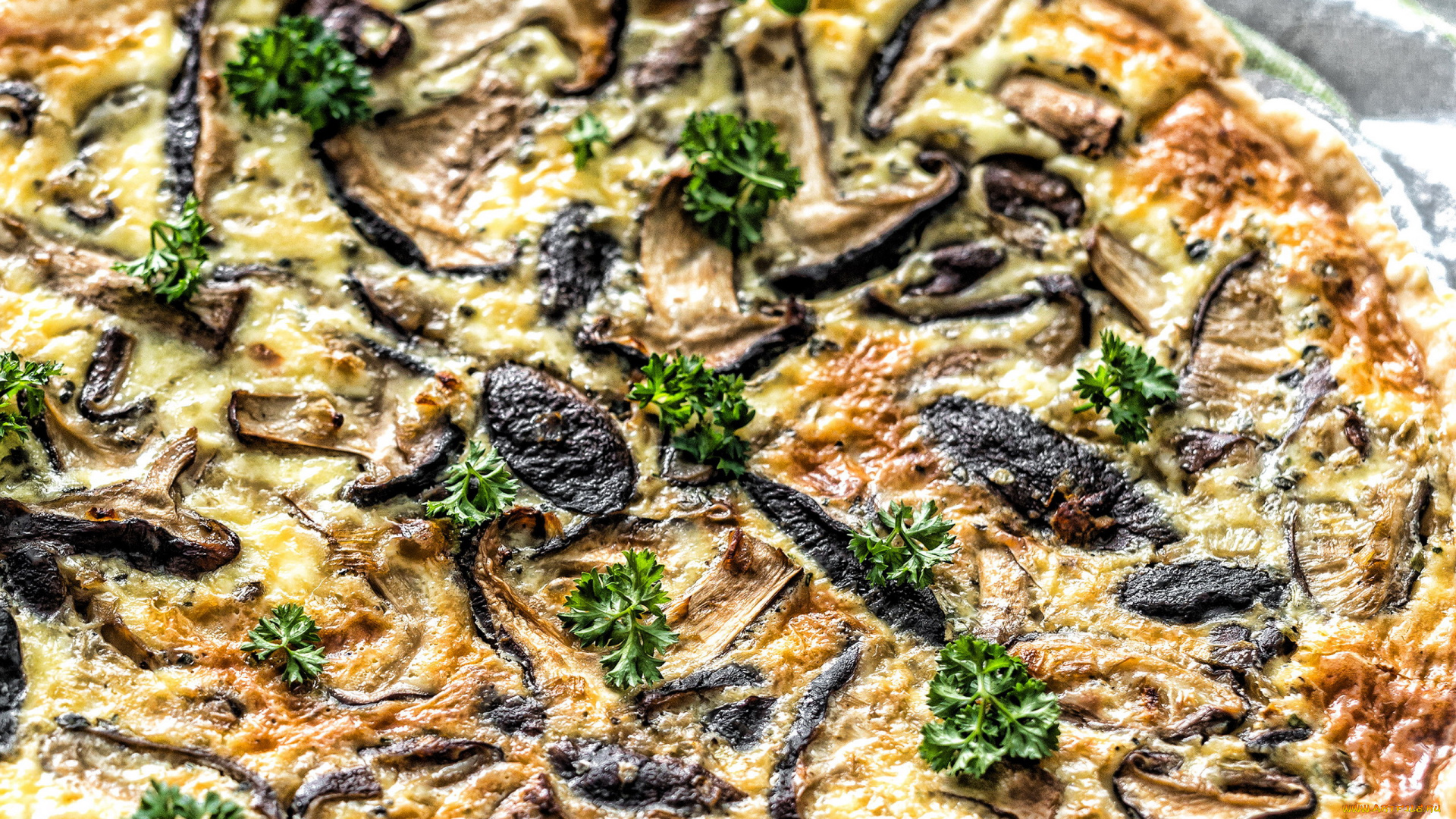 еда, пицца, грибы, петрушка